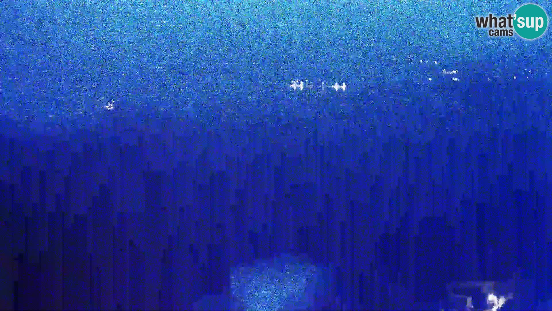 Vue de l’usine de fromage Gligora Kolan – île de Pag