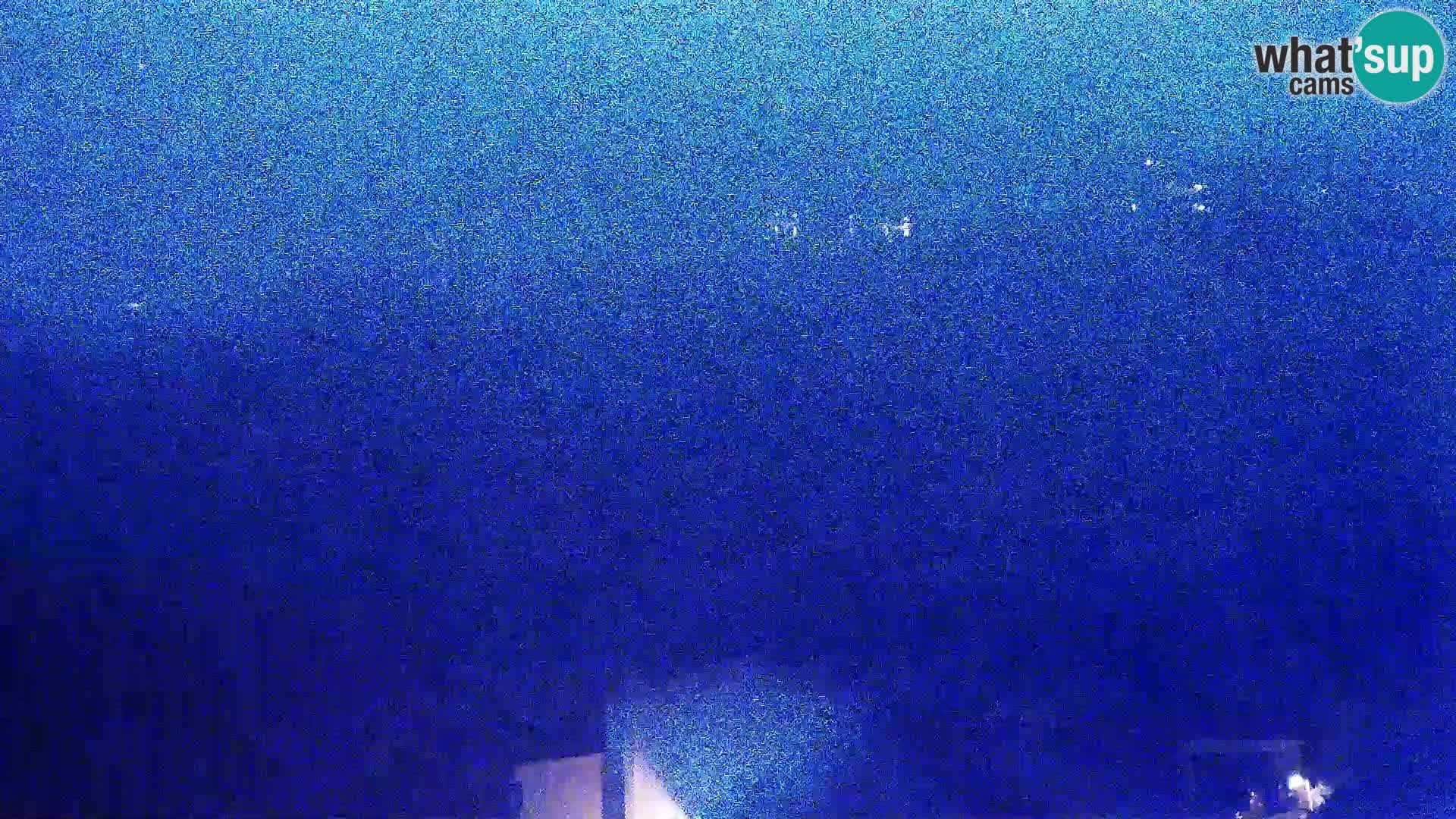 Pogled s Sirarne Gligora na Kolansko polje, blato in ornitološki rezervat