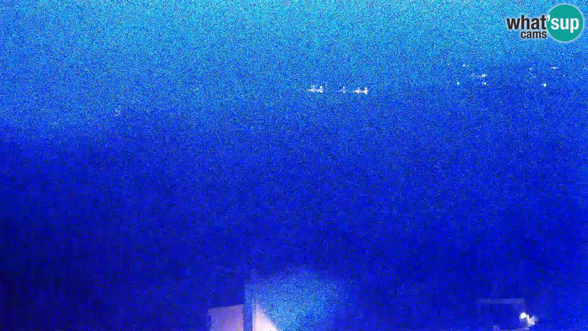 Vue de l’usine de fromage Gligora Kolan – île de Pag