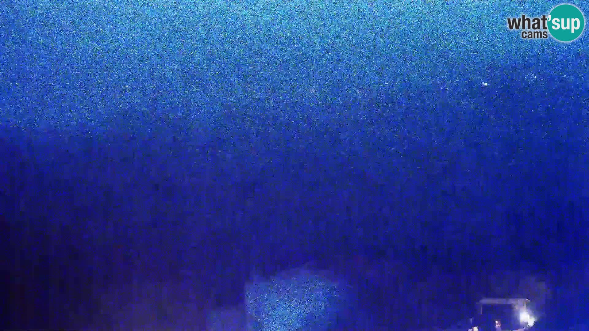 View from Gligora Cheese Factory Kolan – Pag island