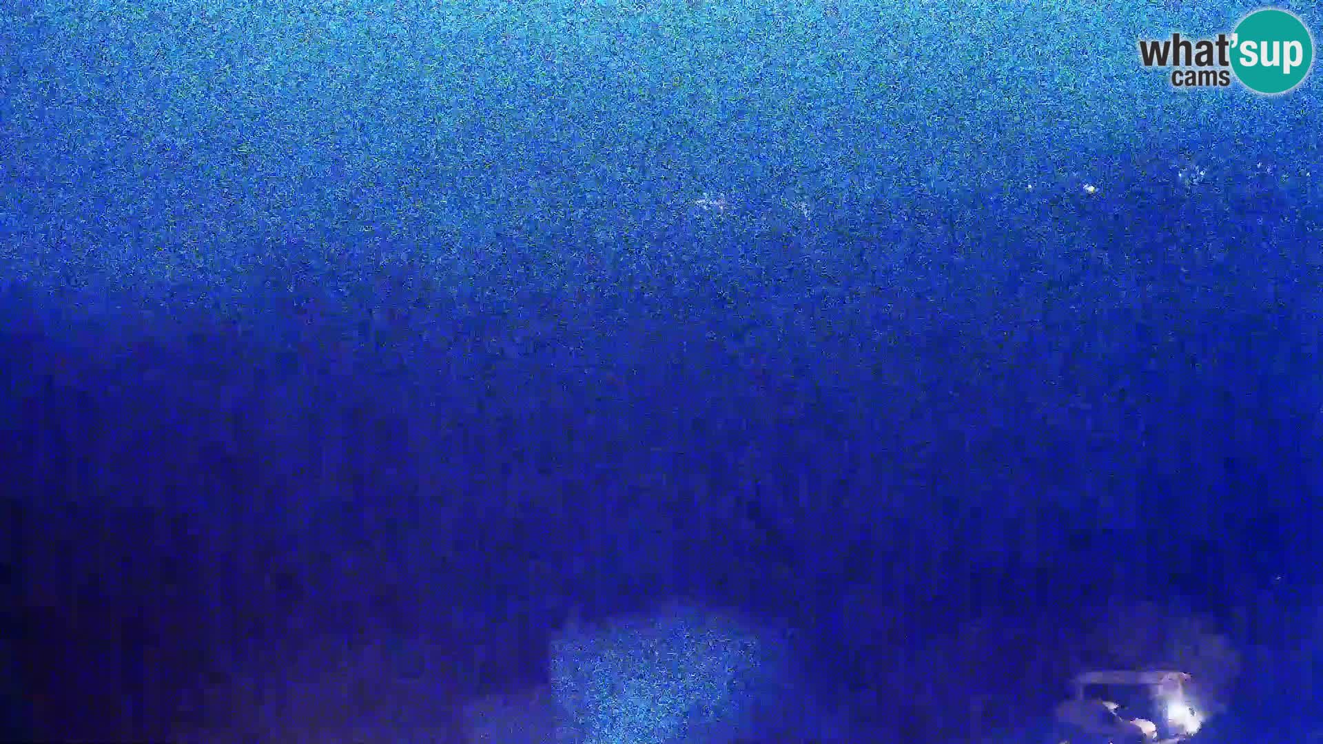 Pogled s Sirarne Gligora na Kolansko polje, blato in ornitološki rezervat