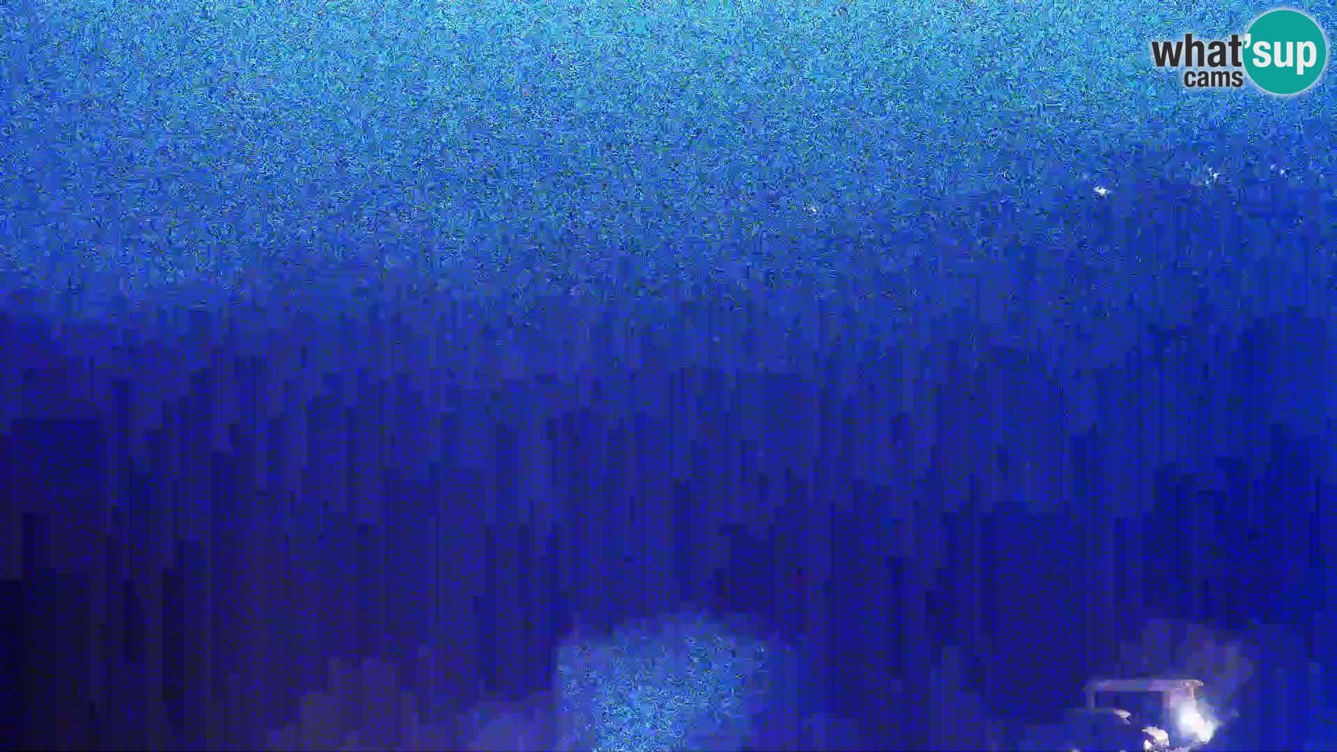 Pogled sa Sirane Gligora na Kolansko polje, blato  i ornitološki rezervat