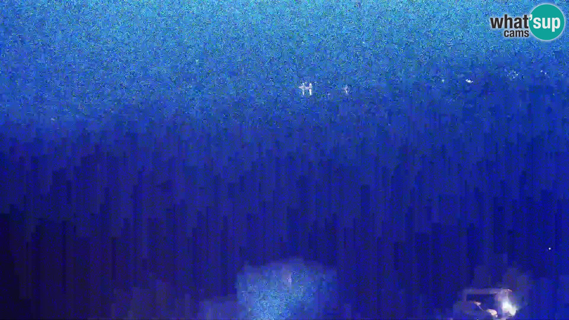 Vue de l’usine de fromage Gligora Kolan – île de Pag