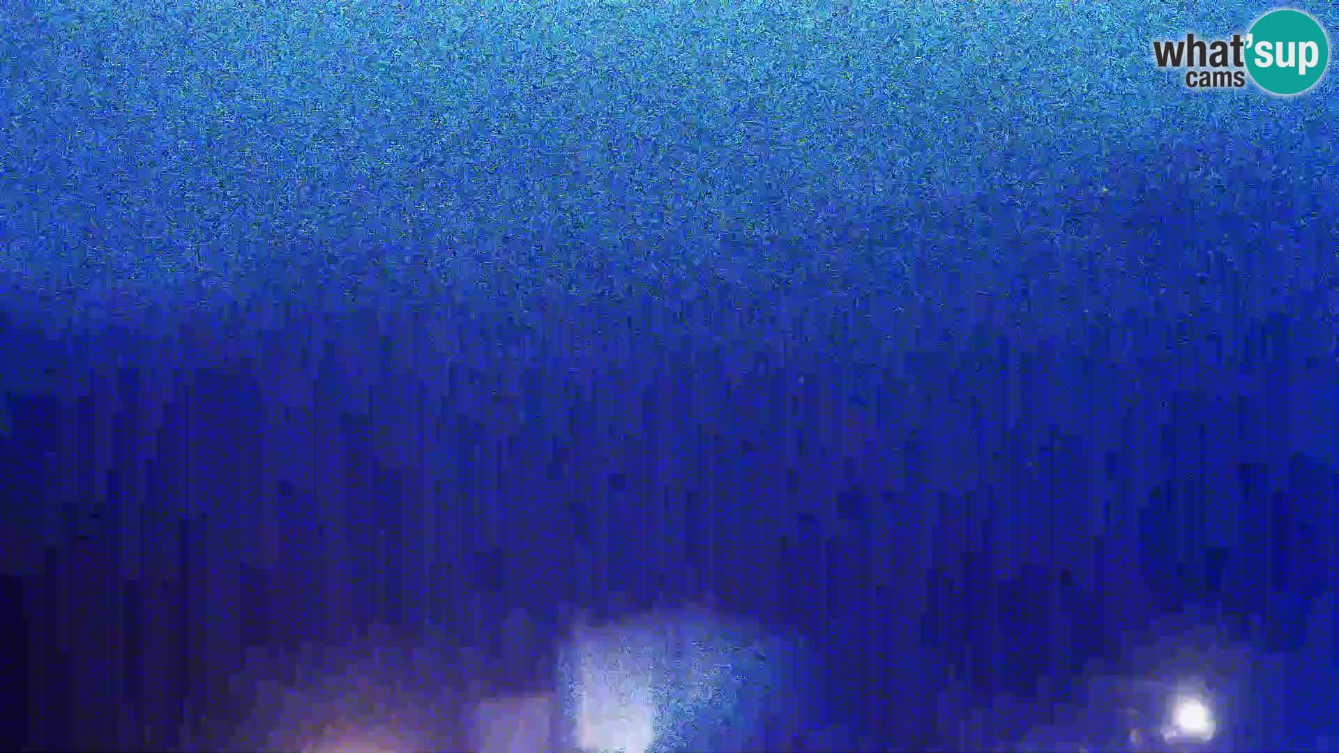 Pogled s Sirarne Gligora na Kolansko polje, blato in ornitološki rezervat