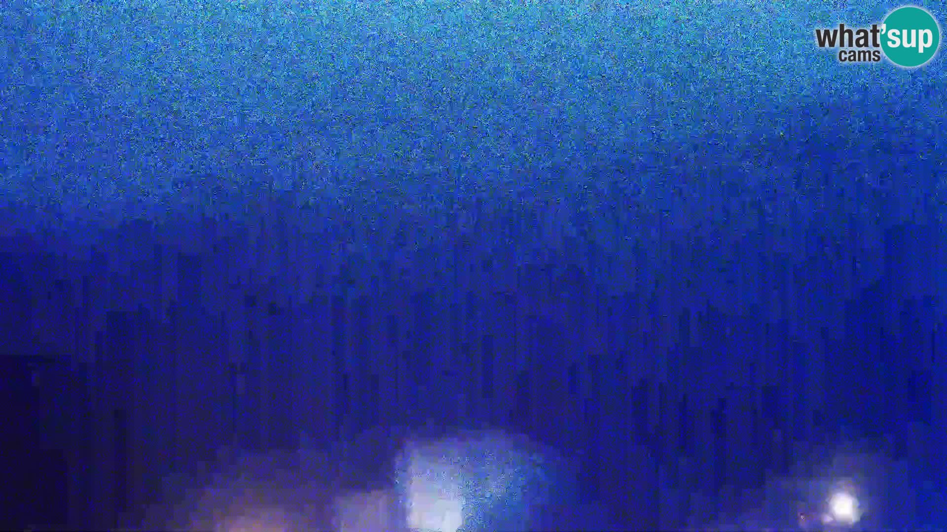 Pogled s Sirarne Gligora na Kolansko polje, blato in ornitološki rezervat