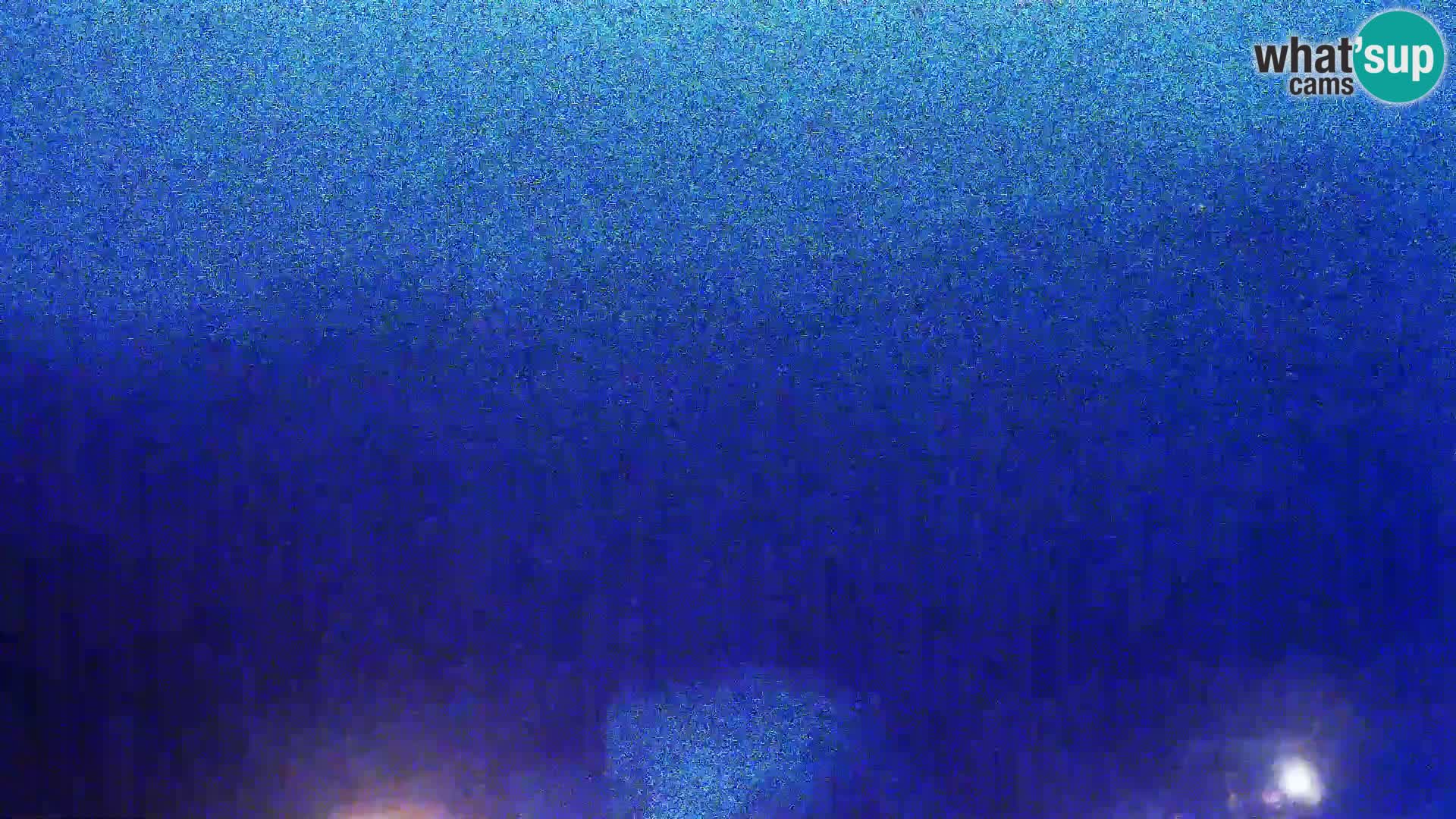 View from Gligora Cheese Factory Kolan – Pag island