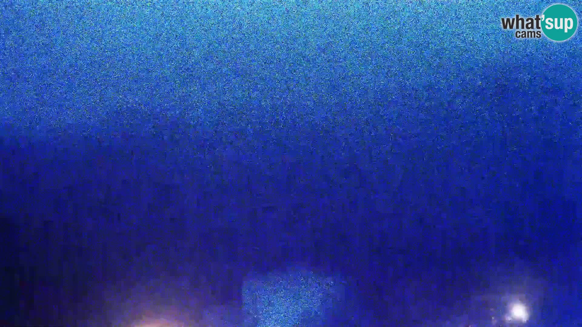 Vista de la fábrica de queso Gligora Kolan – Isla Pag