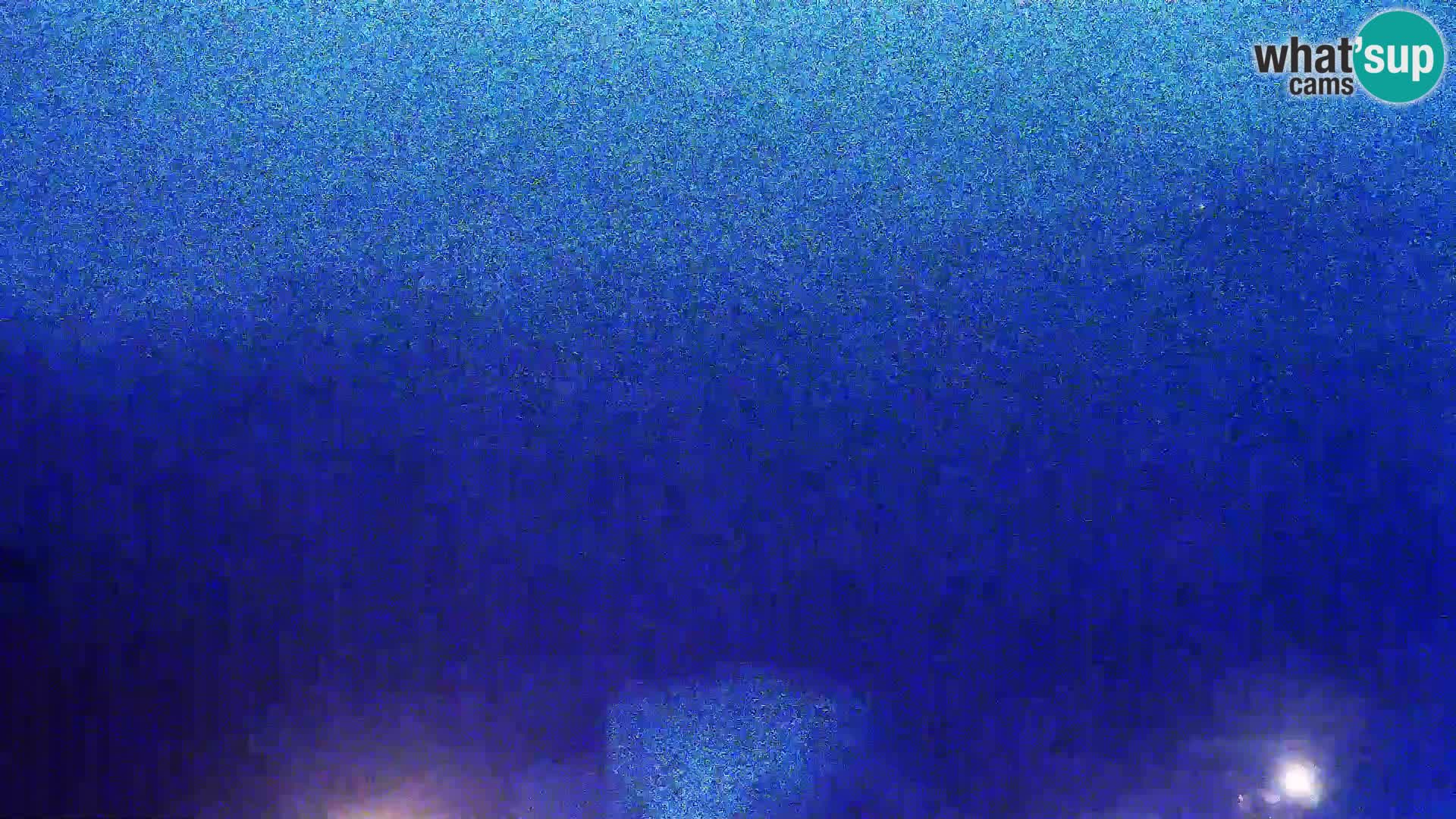 Pogled sa Sirane Gligora na Kolansko polje, blato  i ornitološki rezervat