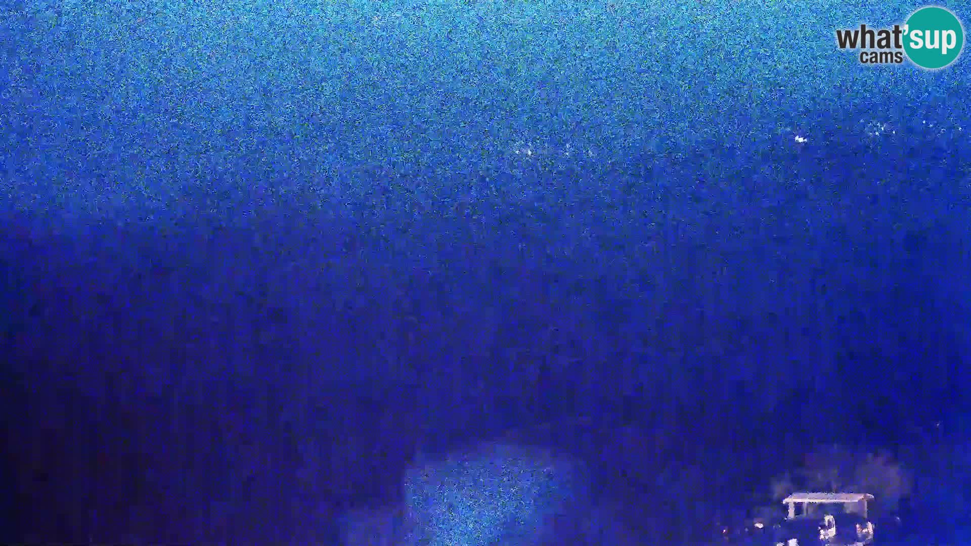 Vue de l’usine de fromage Gligora Kolan – île de Pag