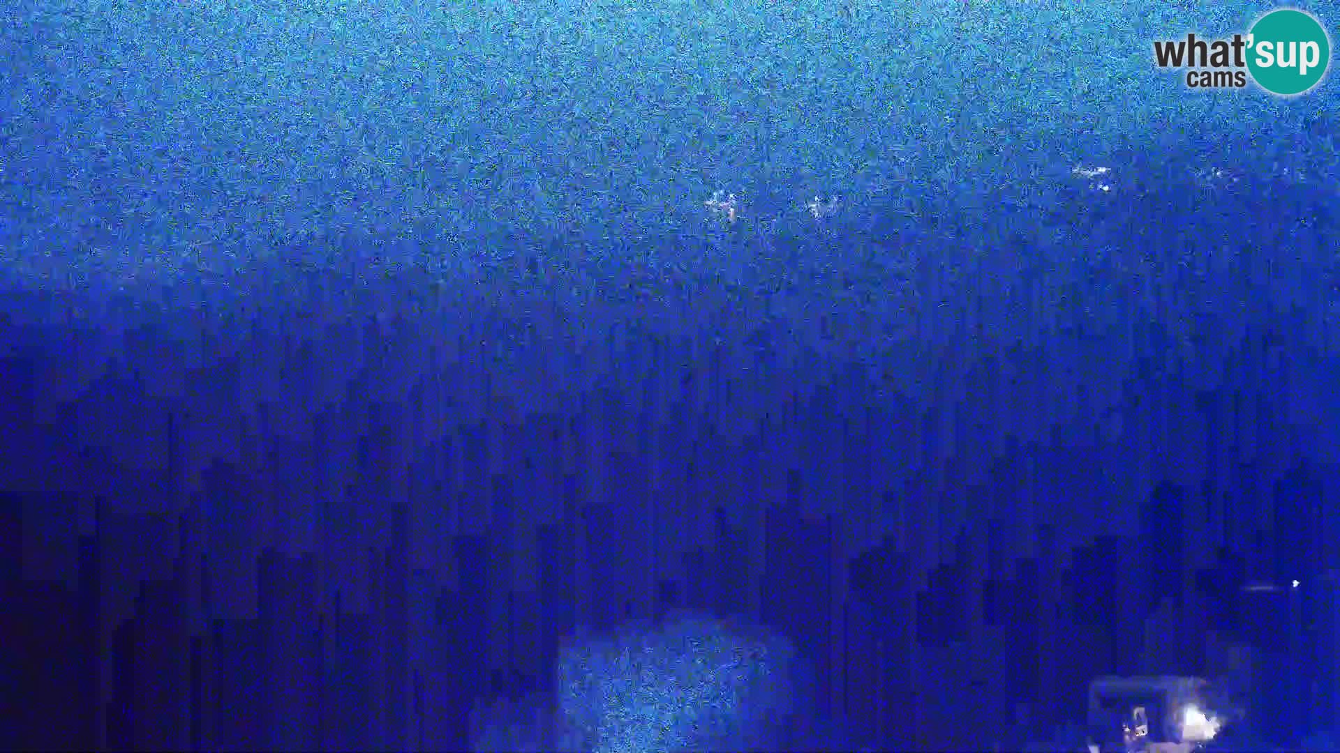 Pogled sa Sirane Gligora na Kolansko polje, blato  i ornitološki rezervat