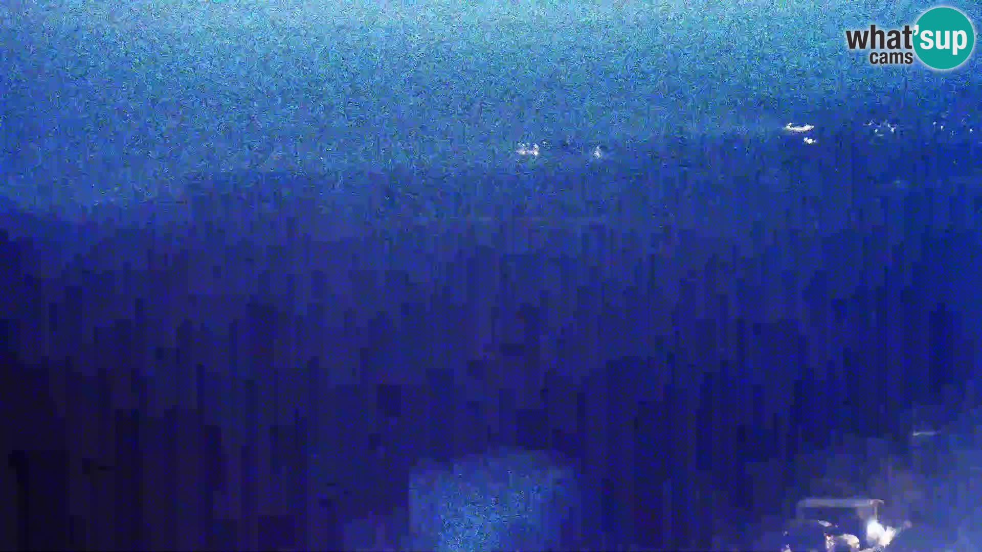 Pogled sa Sirane Gligora na Kolansko polje, blato  i ornitološki rezervat