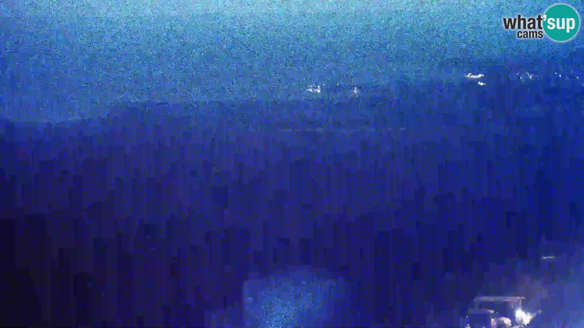 Pogled s Sirarne Gligora na Kolansko polje, blato in ornitološki rezervat