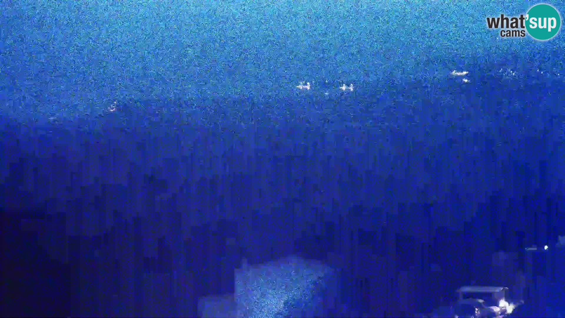 Vista dalla fabbrica di formaggio Gligora Kolan – isola di Pag