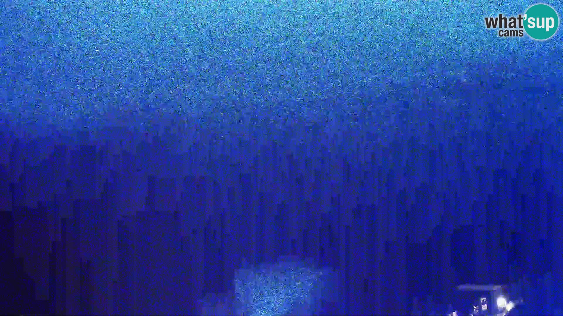 Pogled sa Sirane Gligora na Kolansko polje, blato  i ornitološki rezervat