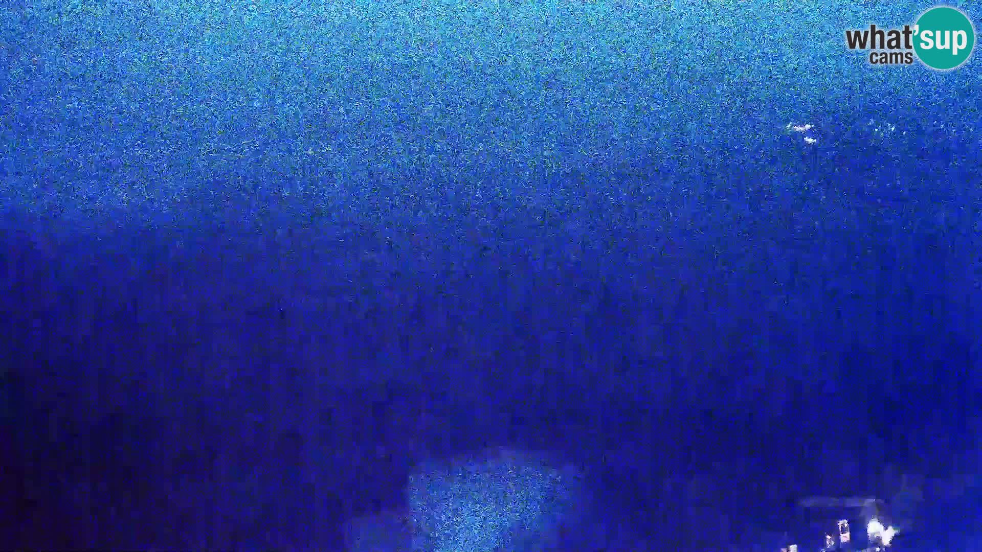 Pogled s Sirarne Gligora na Kolansko polje, blato in ornitološki rezervat