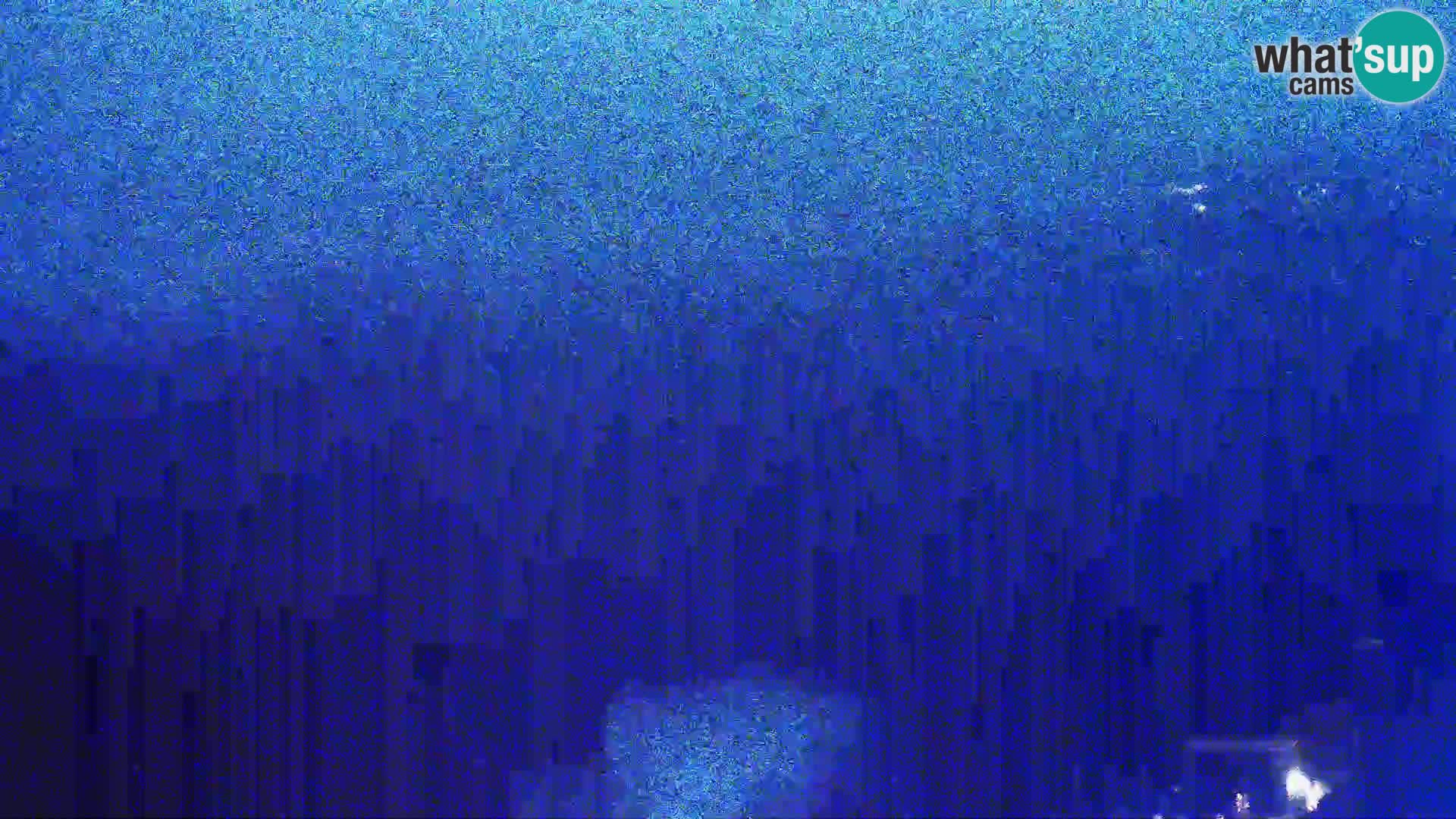 Vue de l’usine de fromage Gligora Kolan – île de Pag