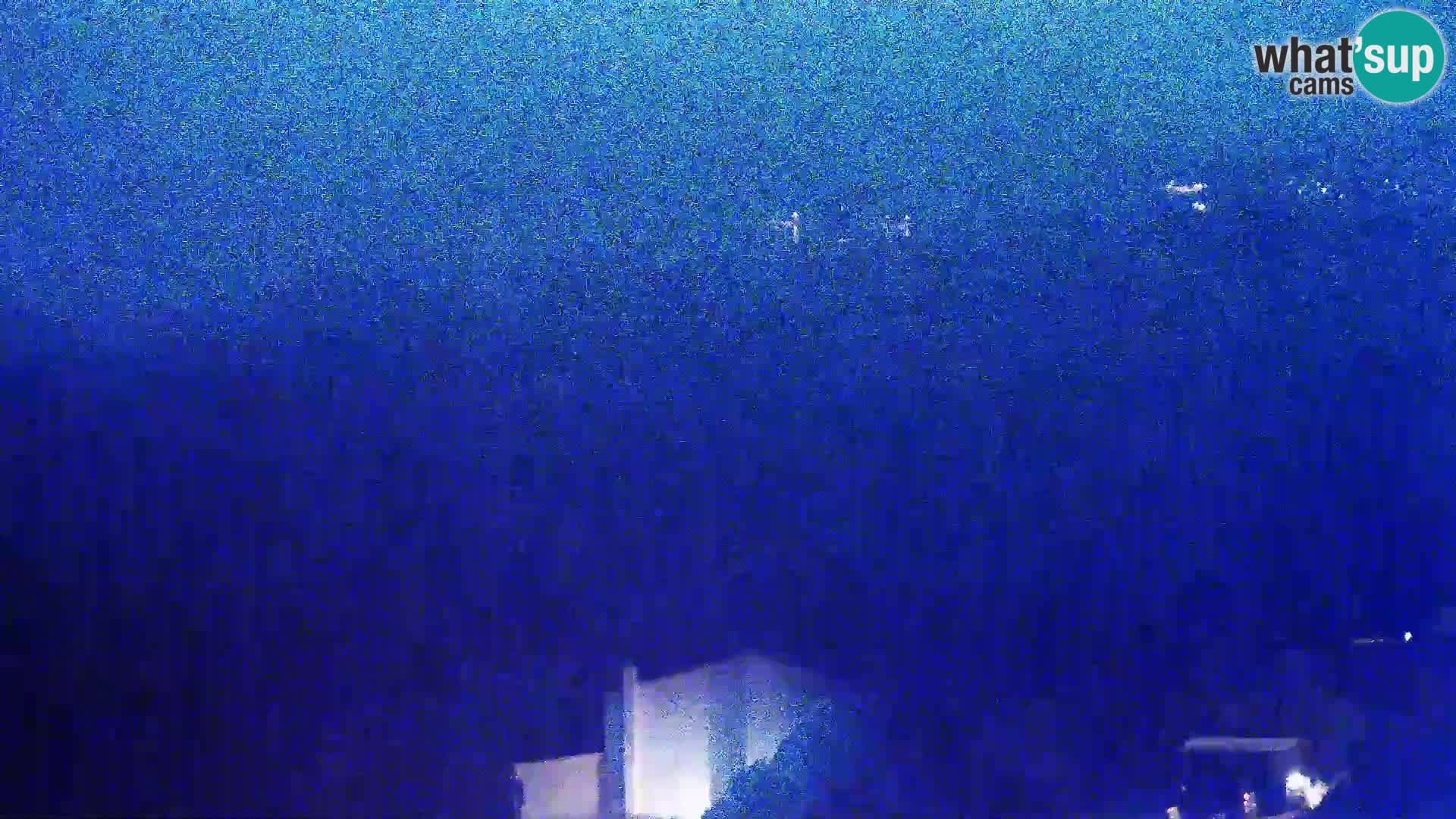 Pogled s Sirarne Gligora na Kolansko polje, blato in ornitološki rezervat