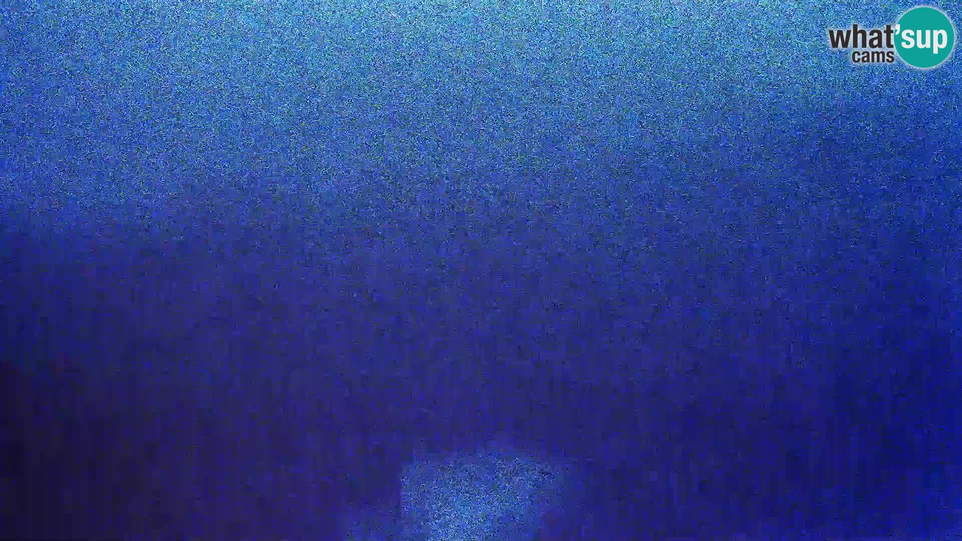 Vista de la fábrica de queso Gligora Kolan – Isla Pag