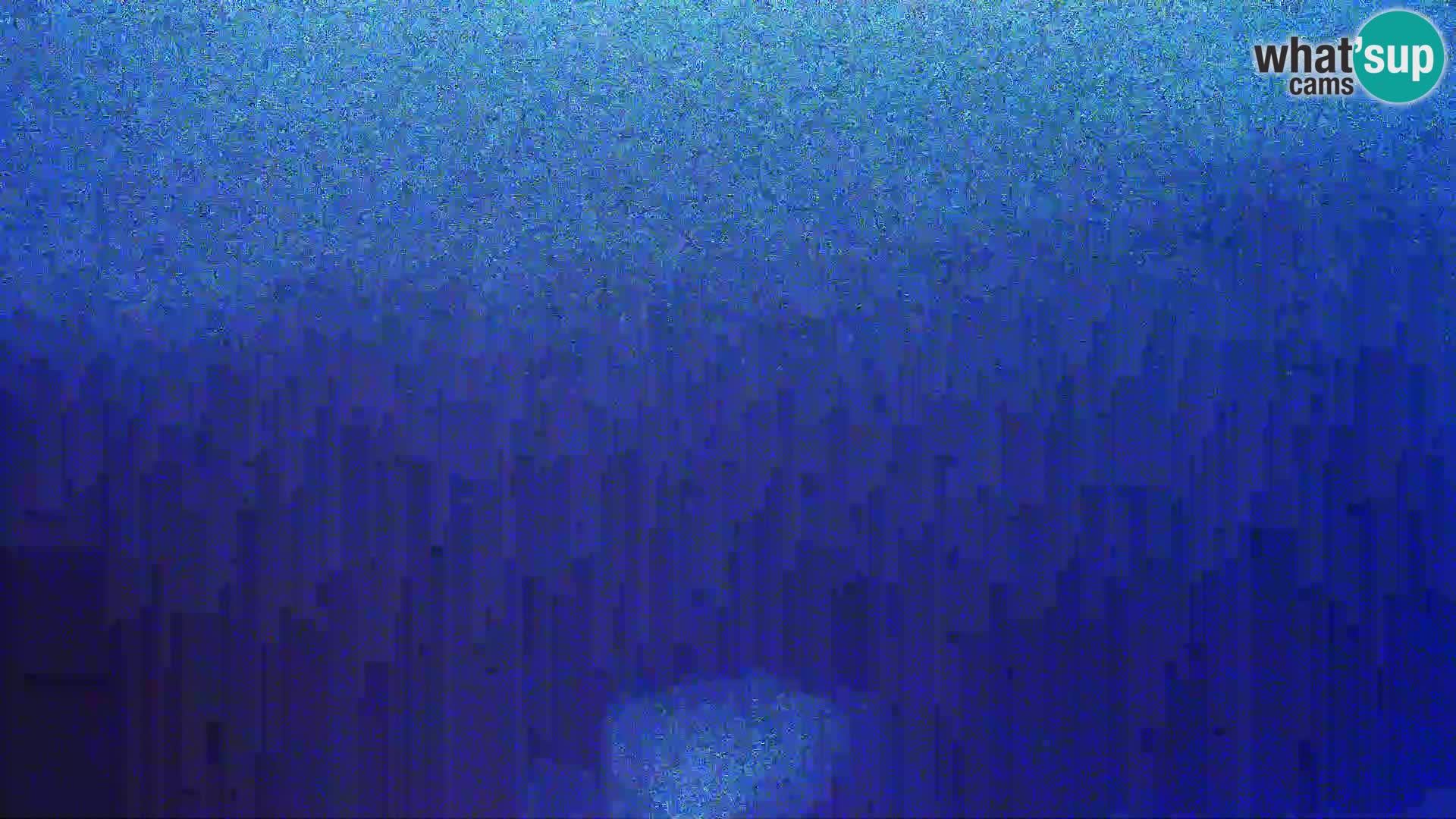 Vista de la fábrica de queso Gligora Kolan – Isla Pag