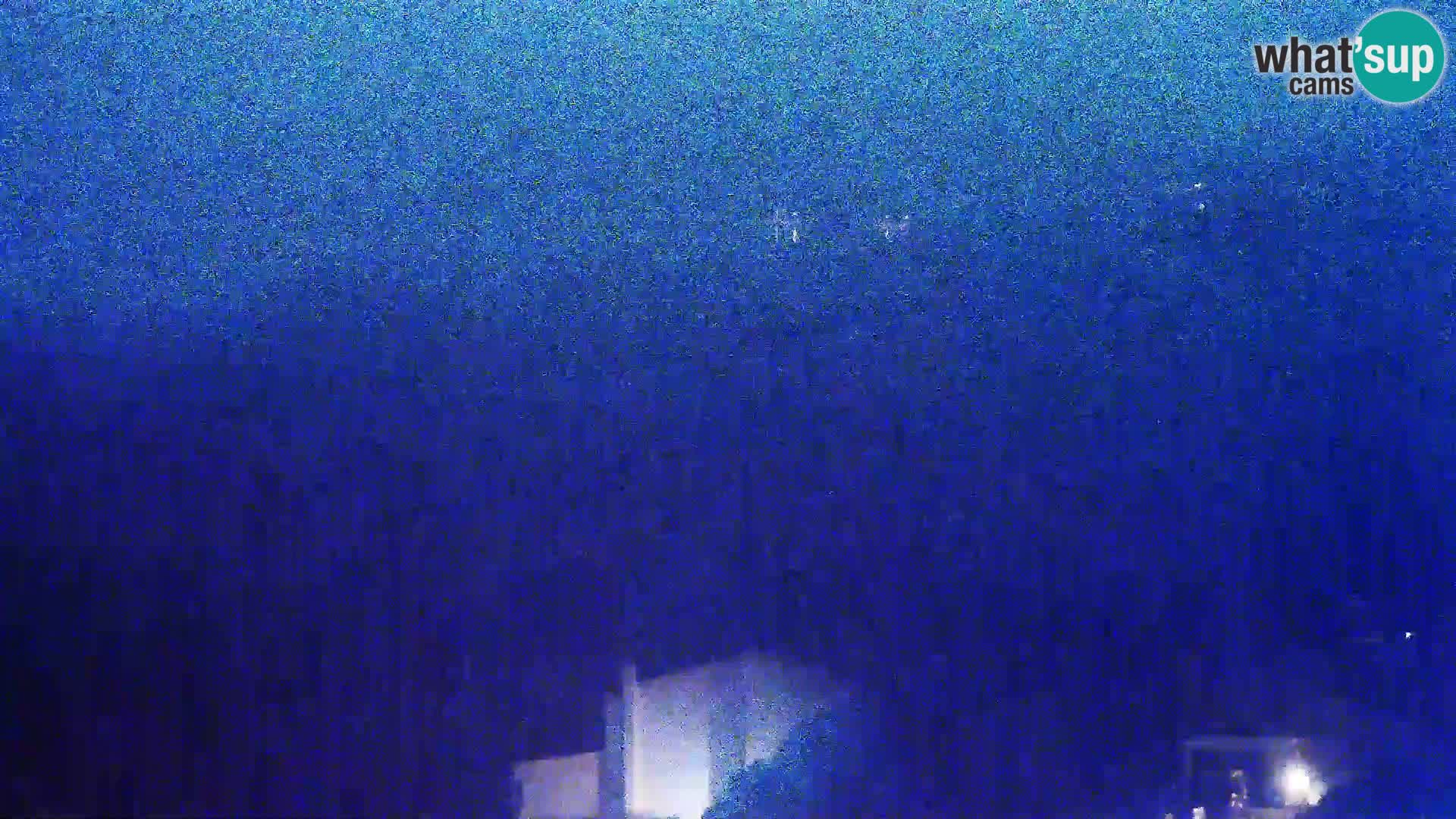 Pogled sa Sirane Gligora na Kolansko polje, blato  i ornitološki rezervat