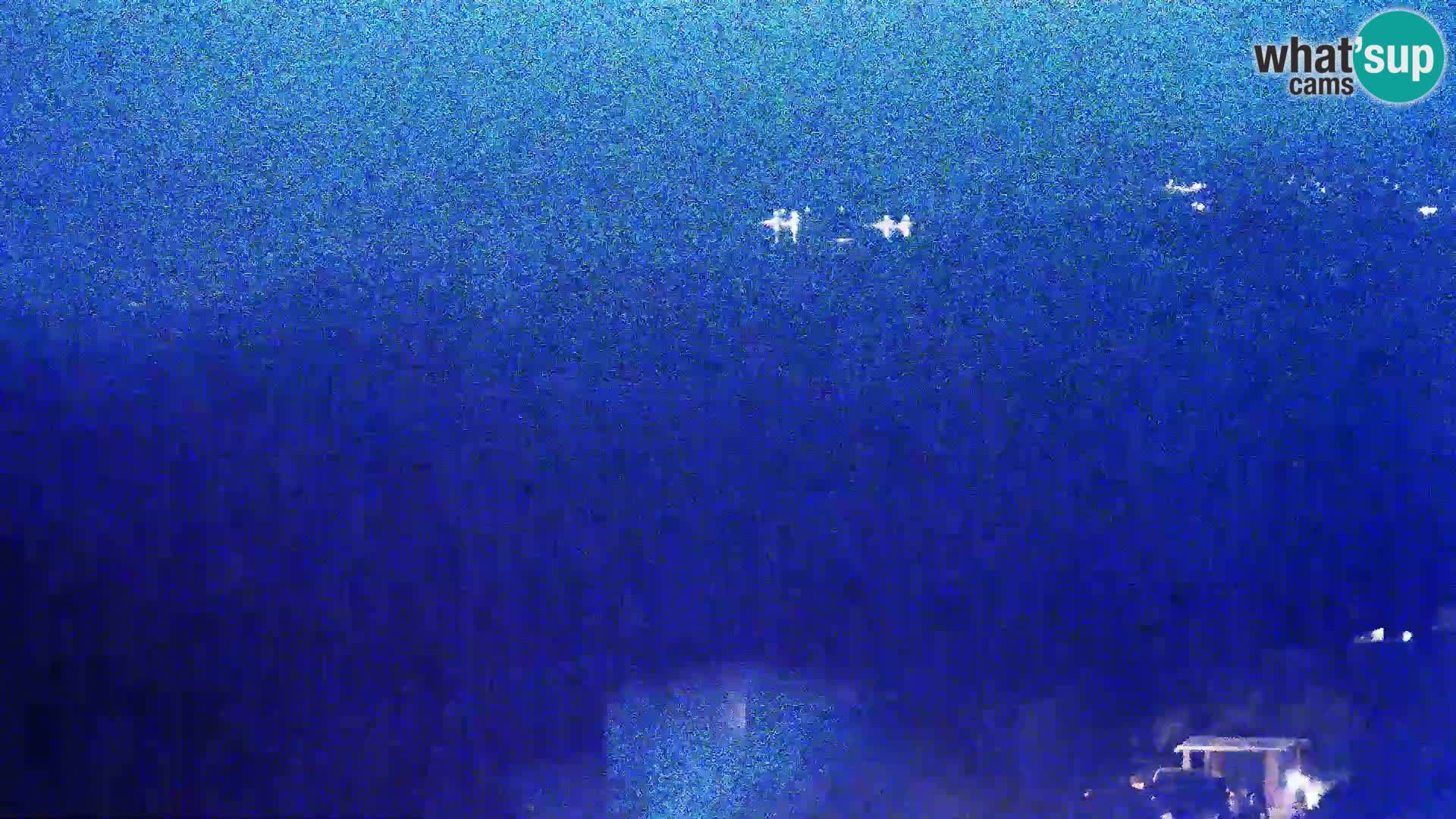 Pogled s Sirarne Gligora na Kolansko polje, blato in ornitološki rezervat