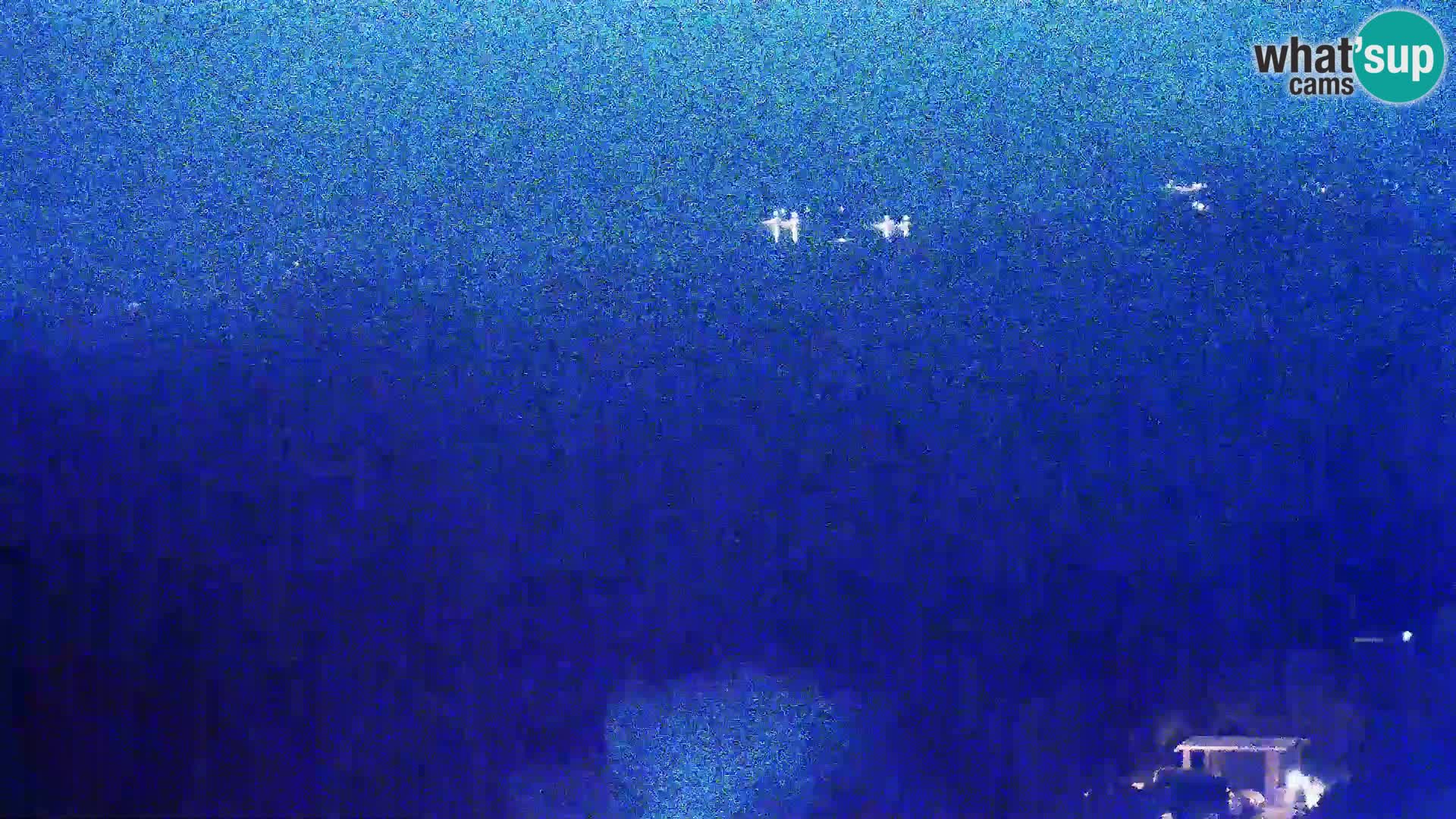 Pogled sa Sirane Gligora na Kolansko polje, blato  i ornitološki rezervat