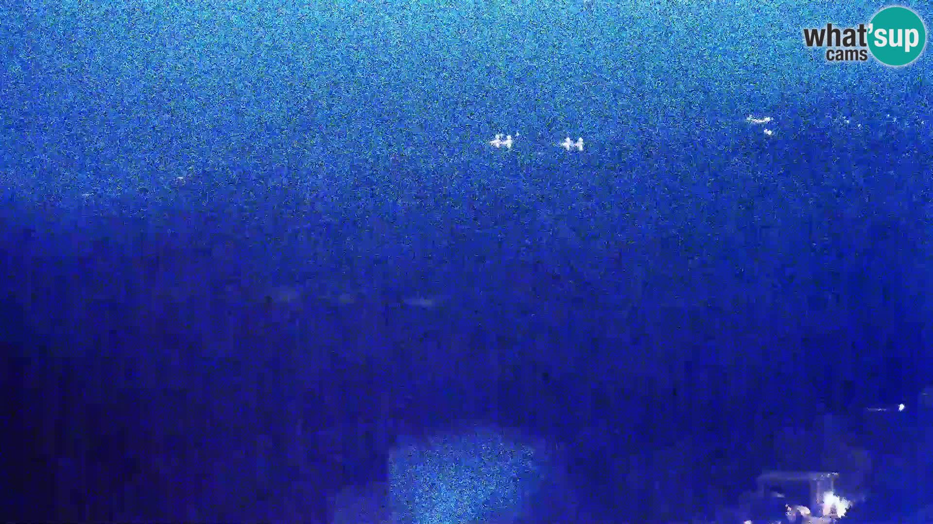 Blick von Gligora Käse Fabrik Kolan – Pag Insel