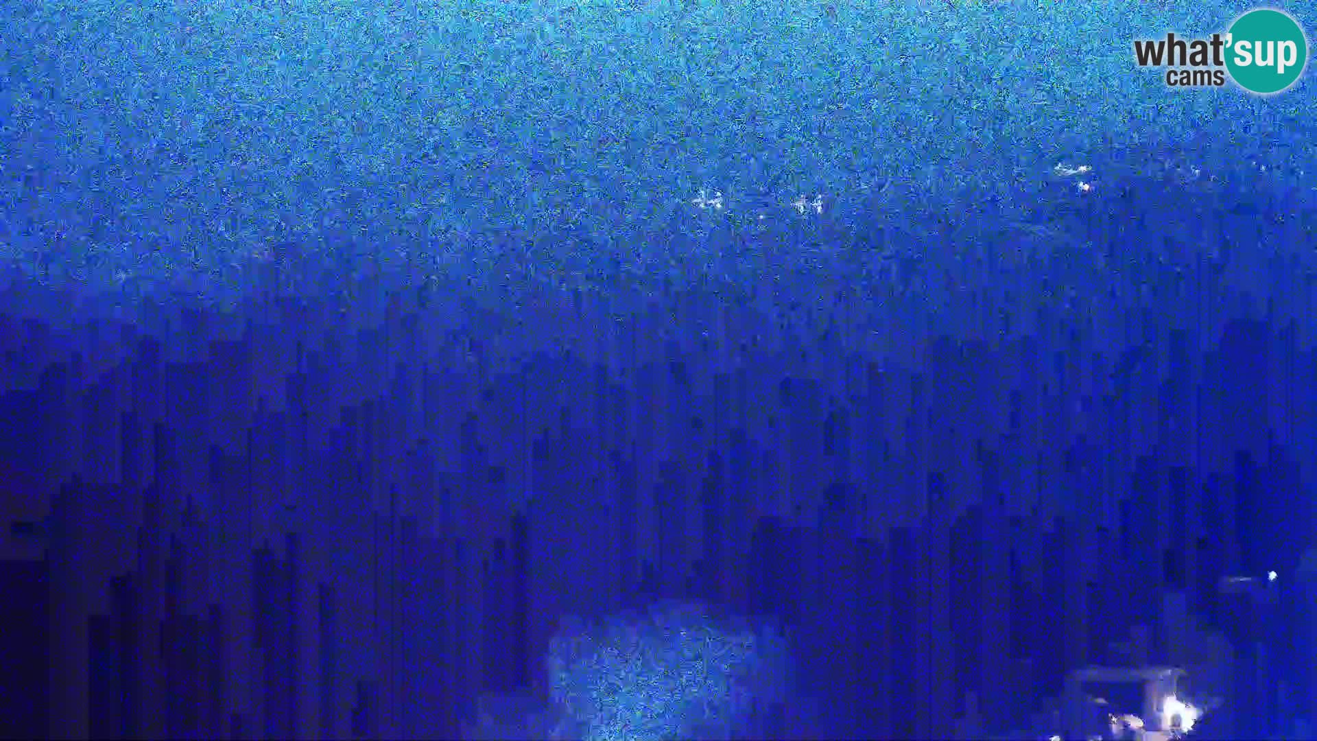 Pogled s Sirarne Gligora na Kolansko polje, blato in ornitološki rezervat