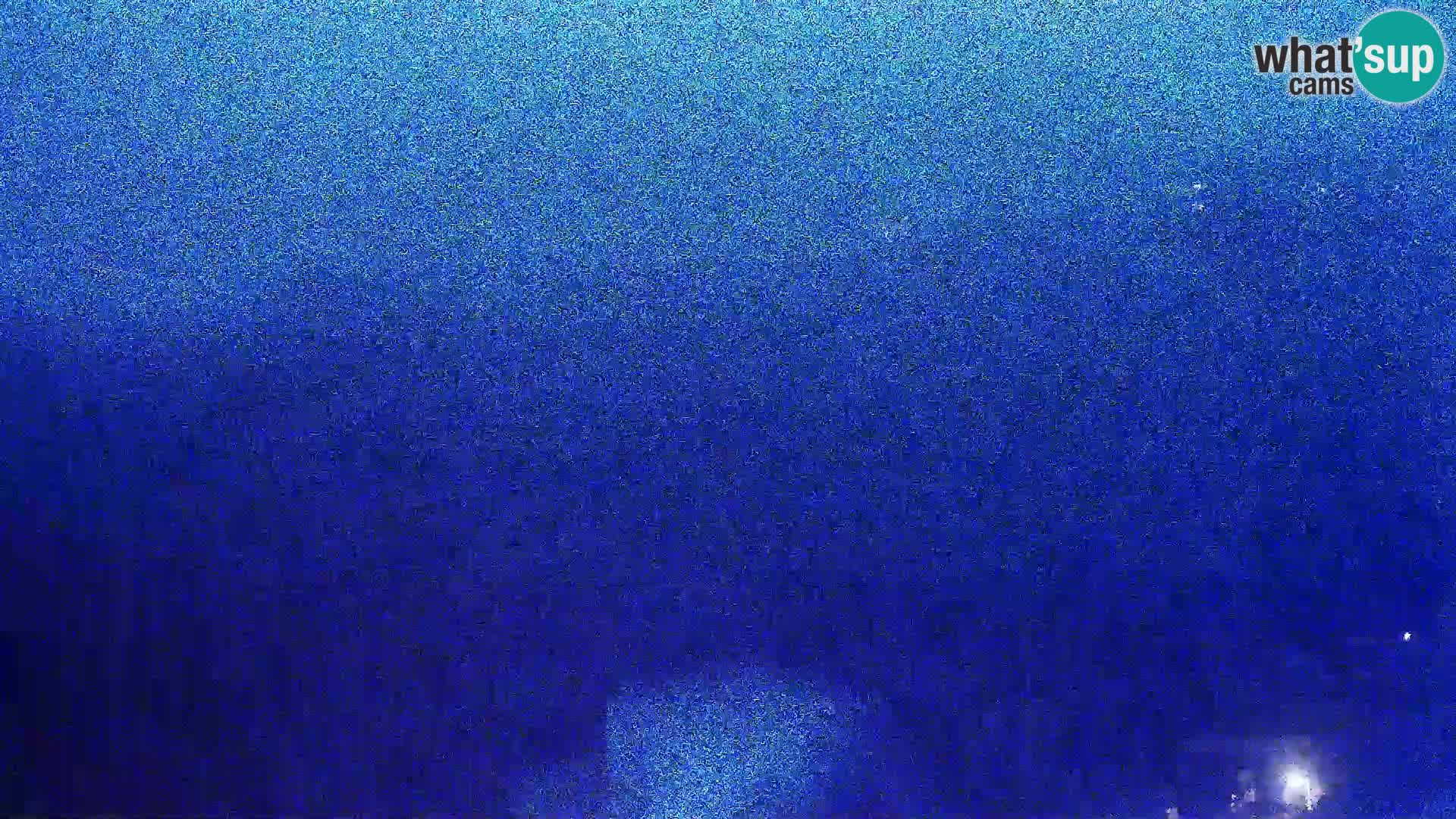 Vista dalla fabbrica di formaggio Gligora Kolan – isola di Pag