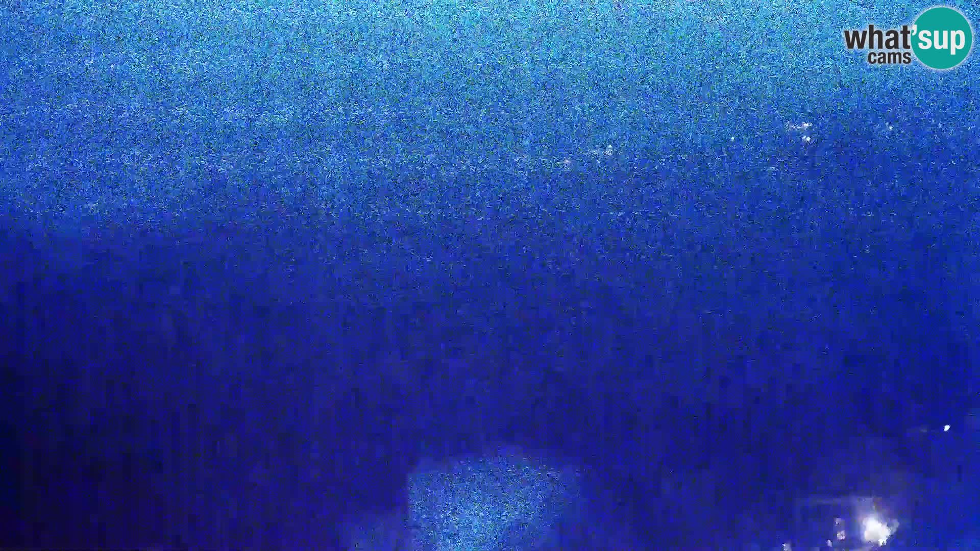 Vista de la fábrica de queso Gligora Kolan – Isla Pag