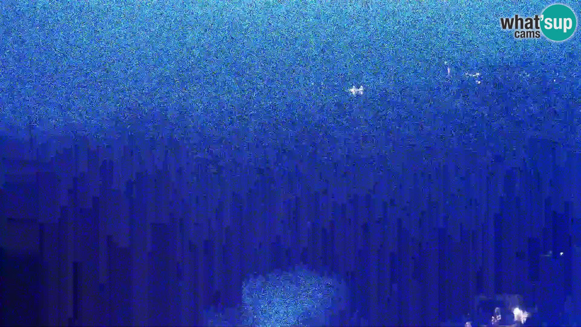 Vue de l’usine de fromage Gligora Kolan – île de Pag