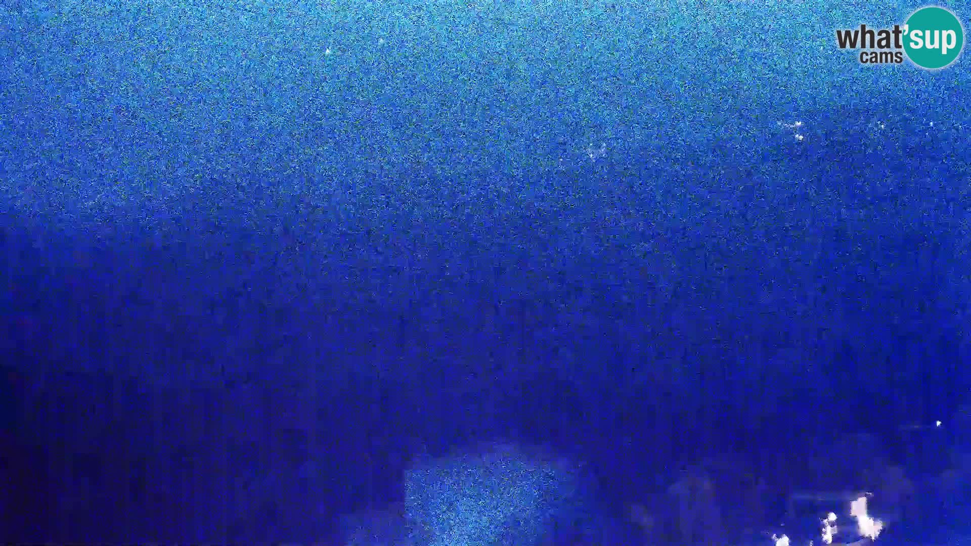 Pogled sa Sirane Gligora na Kolansko polje, blato  i ornitološki rezervat