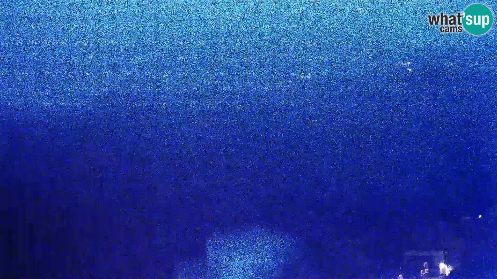 Pogled s Sirarne Gligora na Kolansko polje, blato in ornitološki rezervat