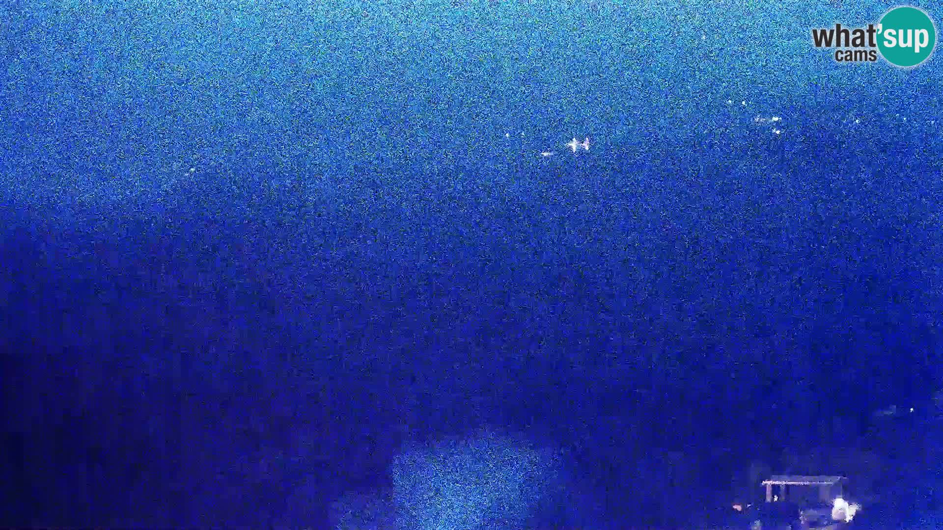 Vista dalla fabbrica di formaggio Gligora Kolan – isola di Pag