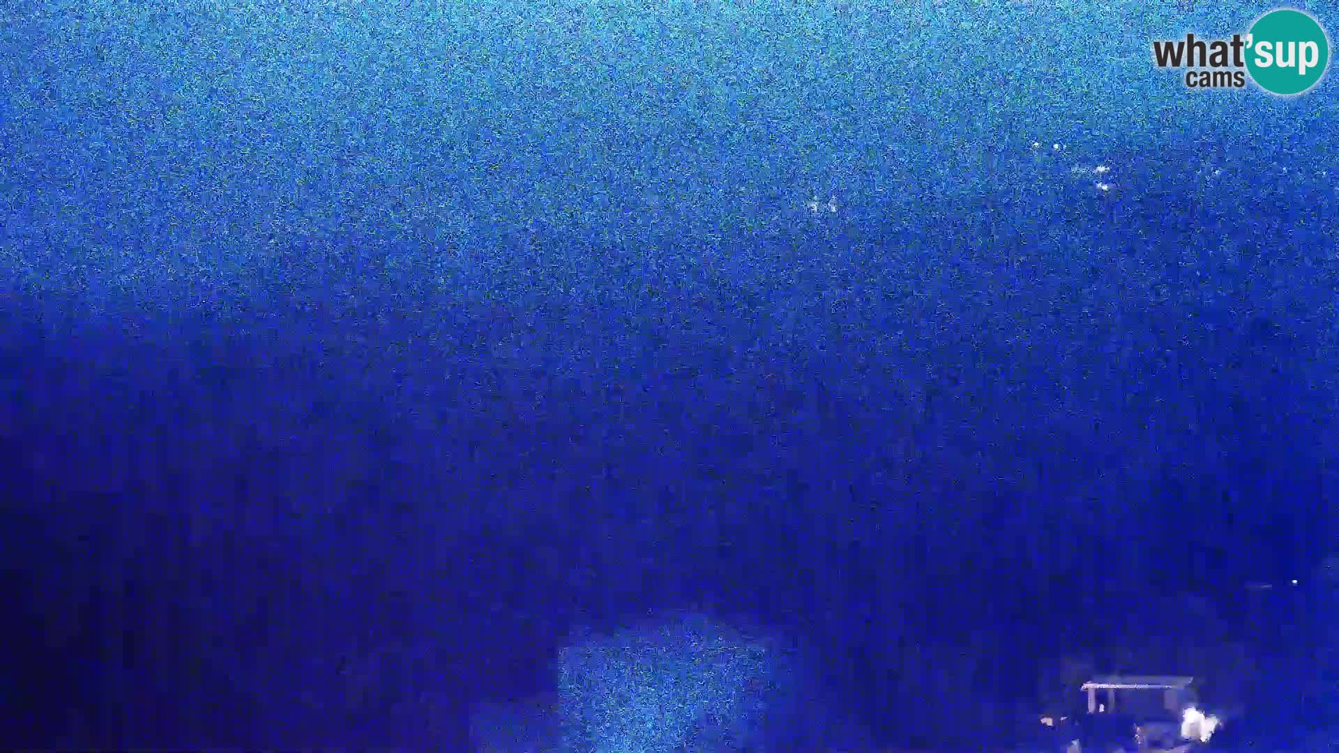 Pogled s Sirarne Gligora na Kolansko polje, blato in ornitološki rezervat