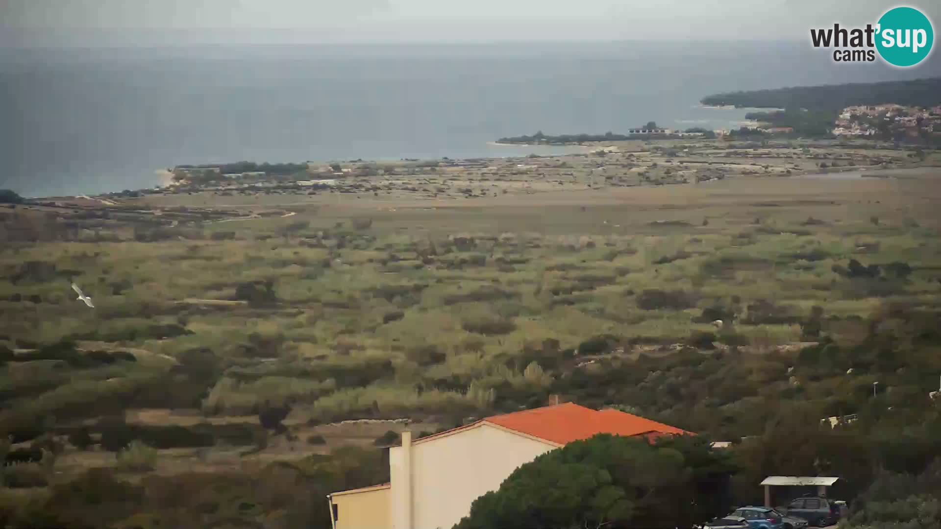 Webkamera - Kolan (Pag)