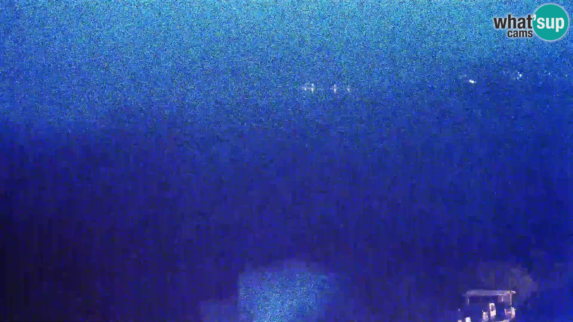 Webcam - Kolan (Pag)