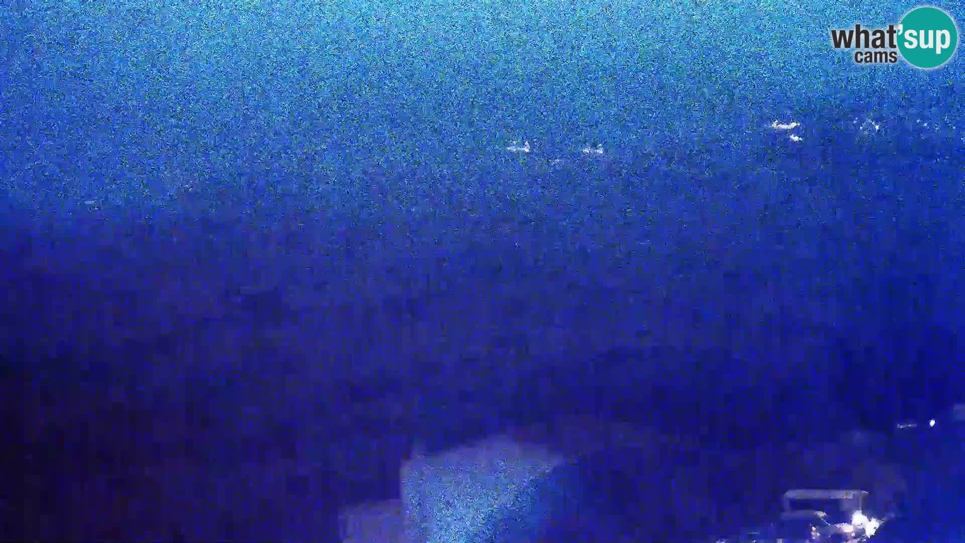 Webcam - Kolan (Pag)