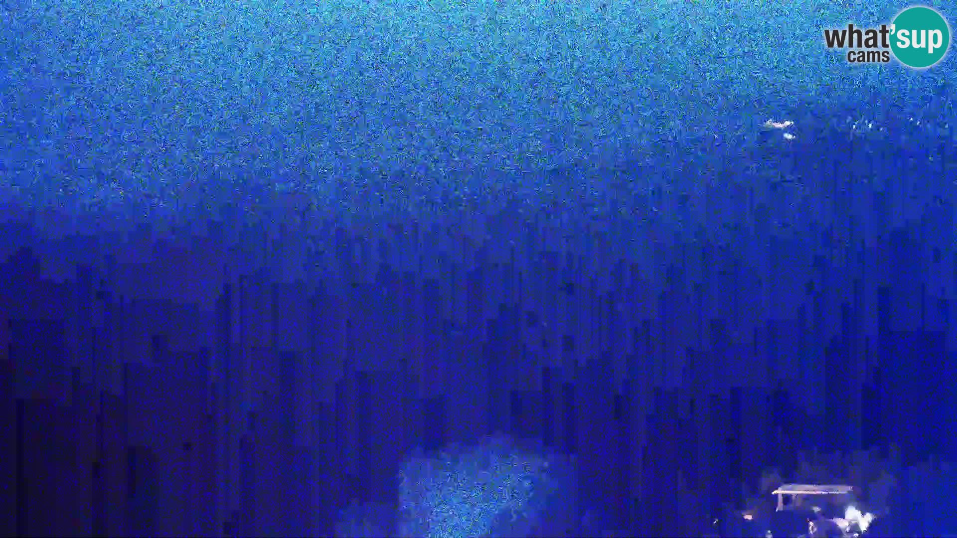 Kamera na żywo - Kolan (Pag)