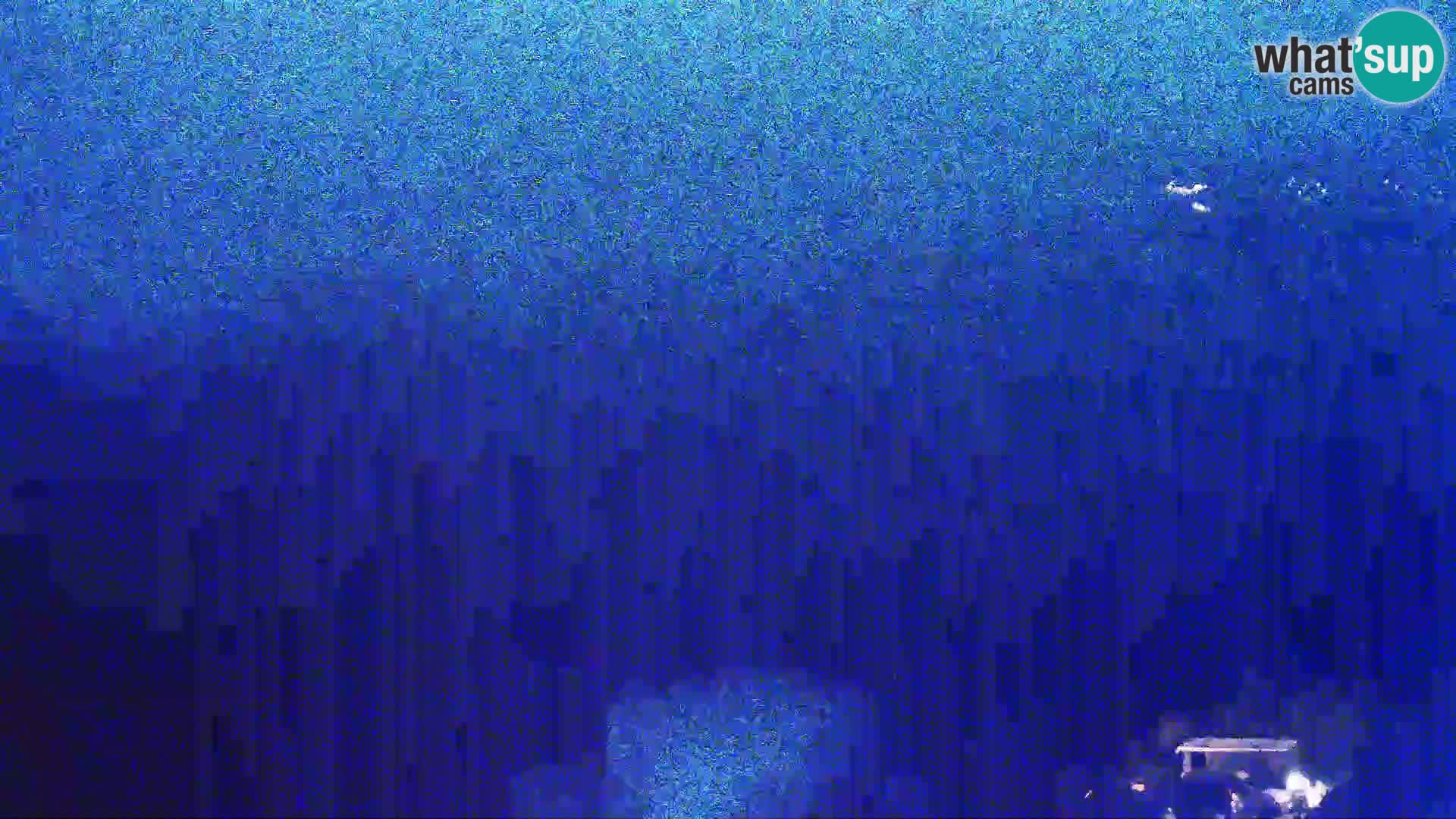 Kamera na żywo - Kolan (Pag)