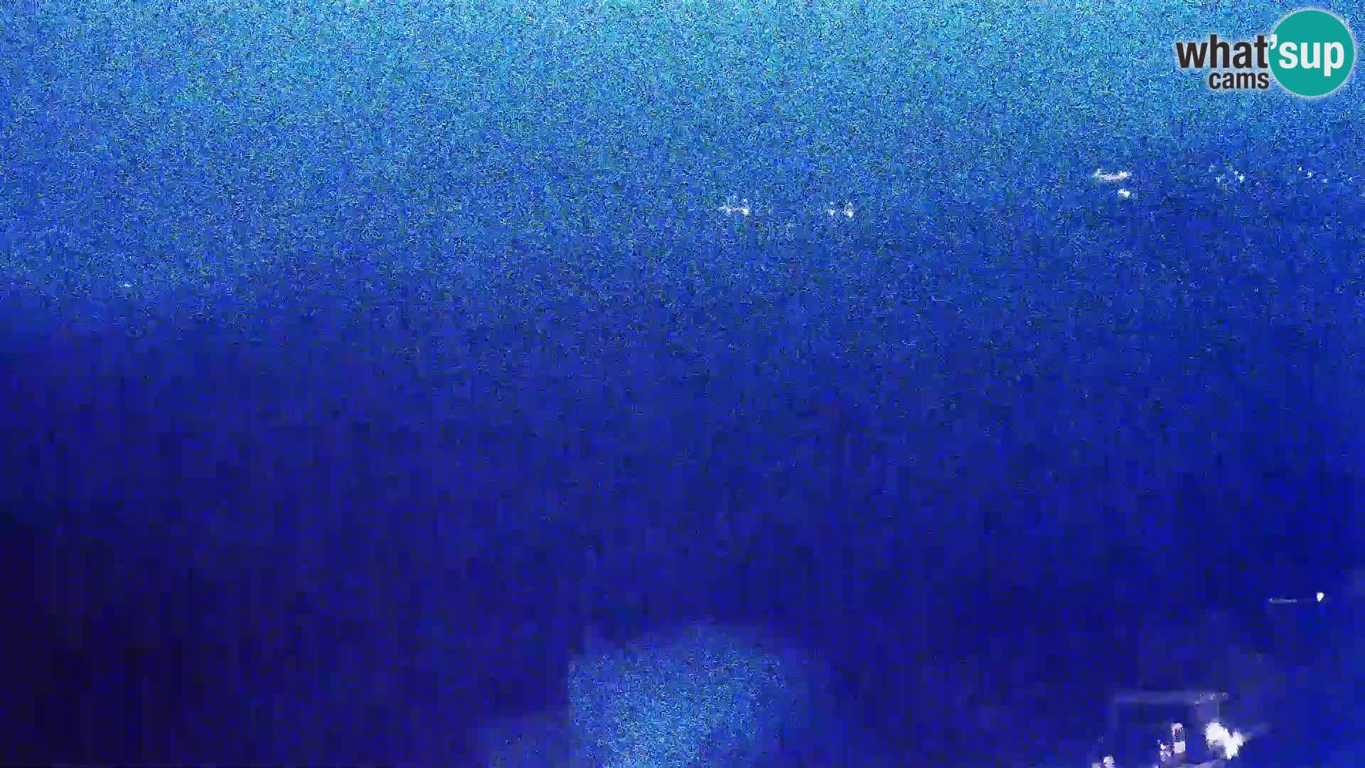 Web camera - Kolan (Pag)