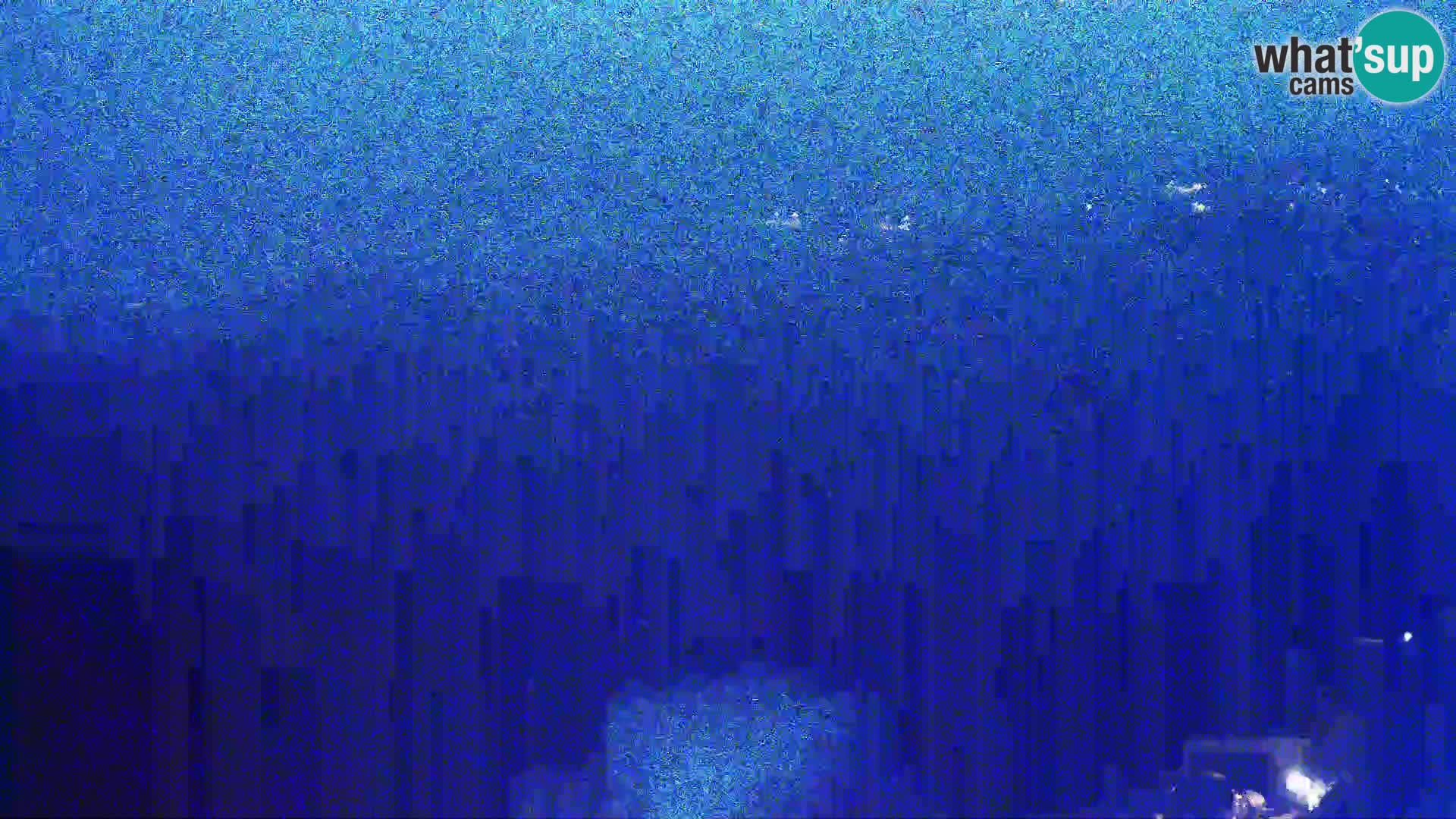 Webkamera - Kolan (Pag)