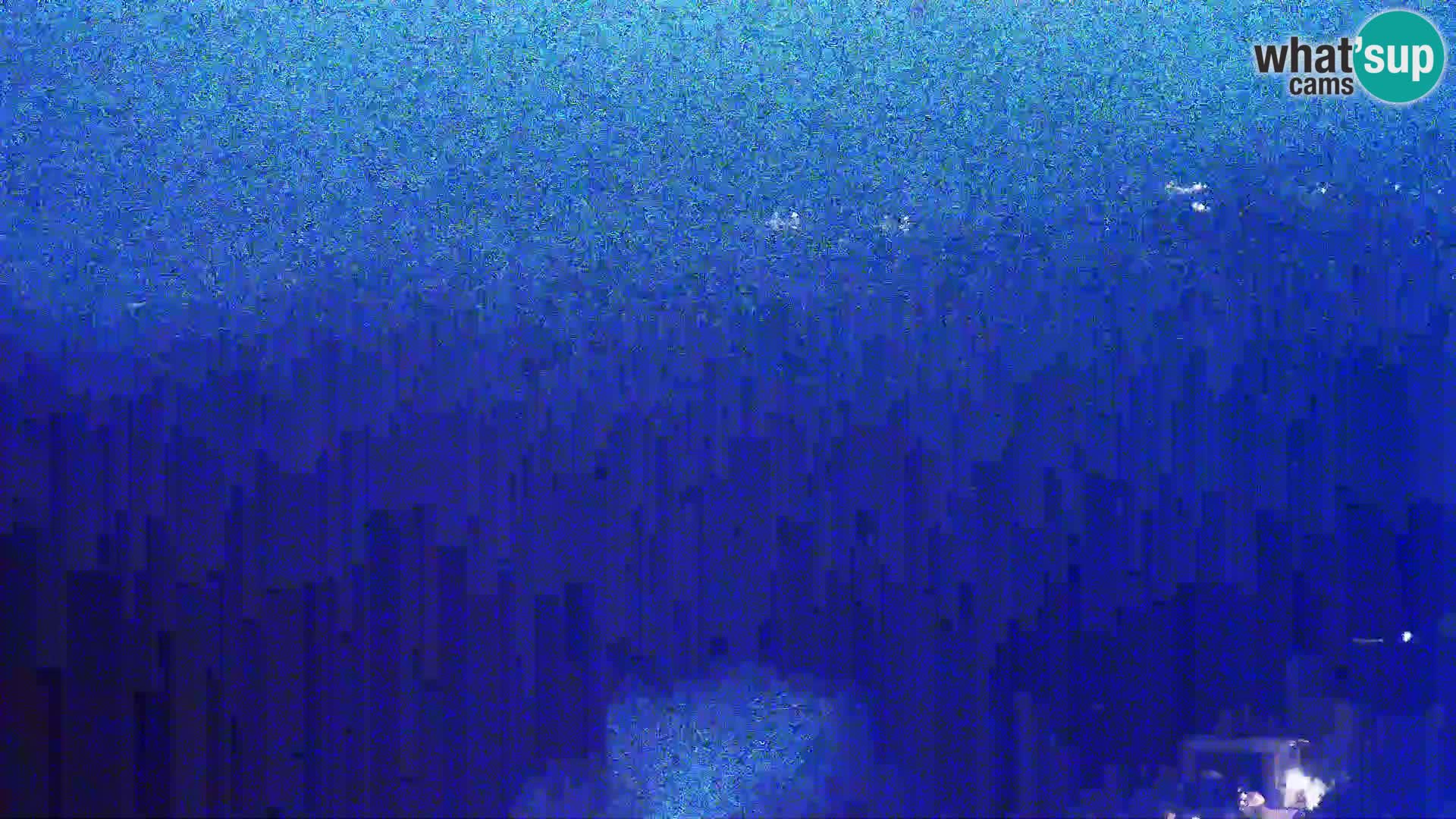 Webcam - Kolan (Pag)