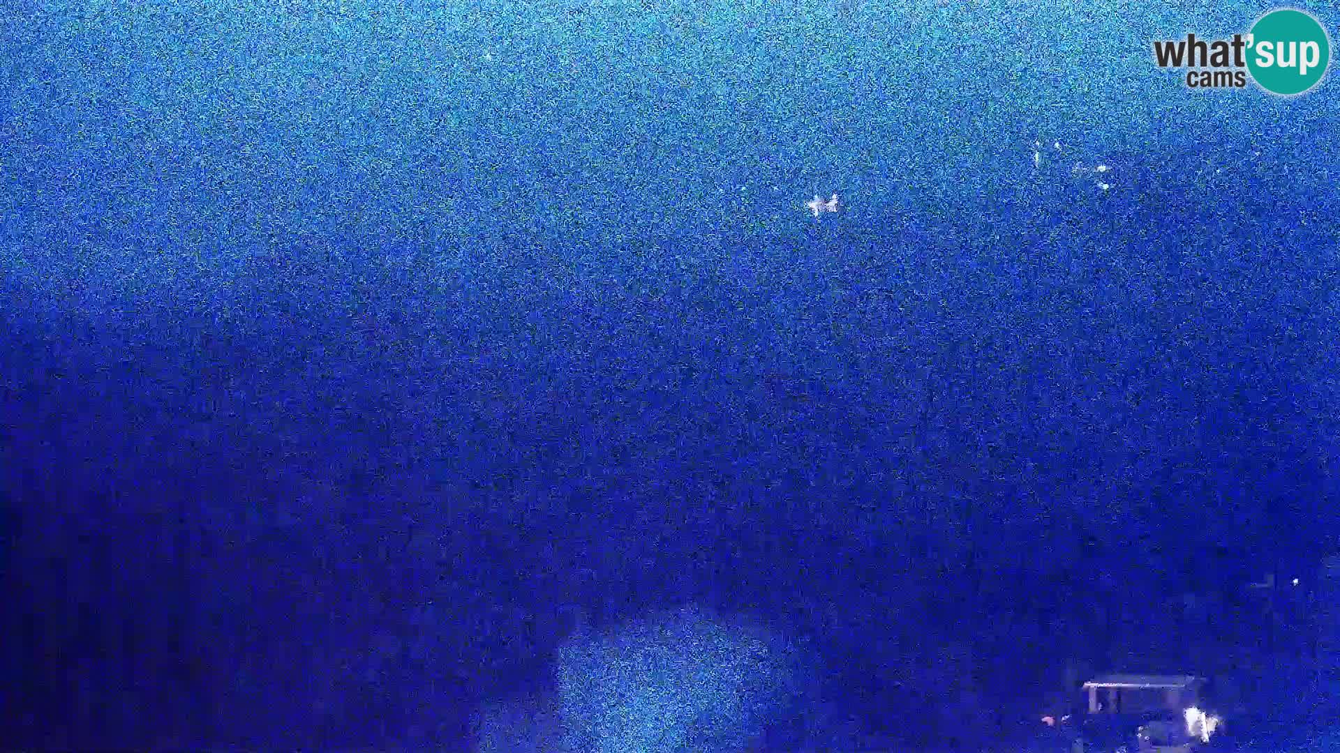 Webkamera - Kolan (Pag)