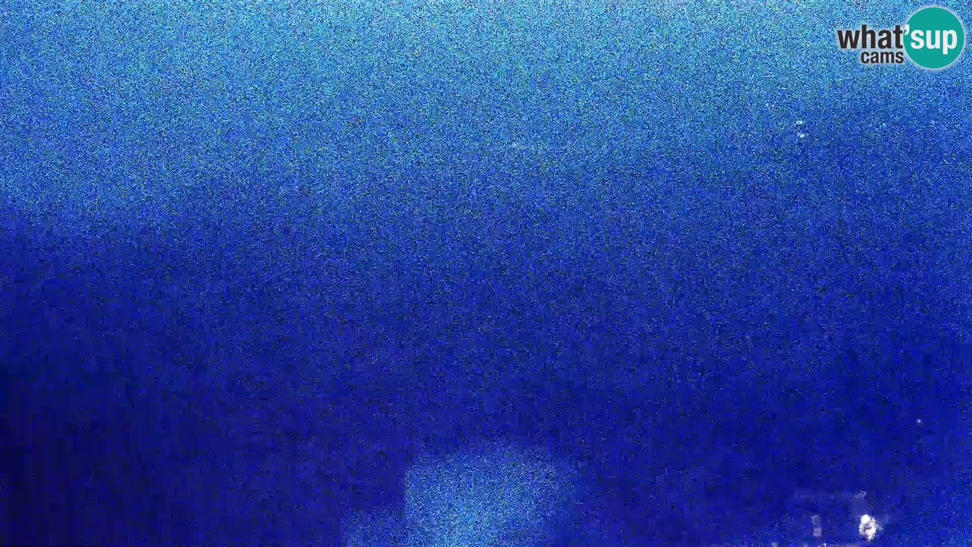 Webkamera - Kolan (Pag)