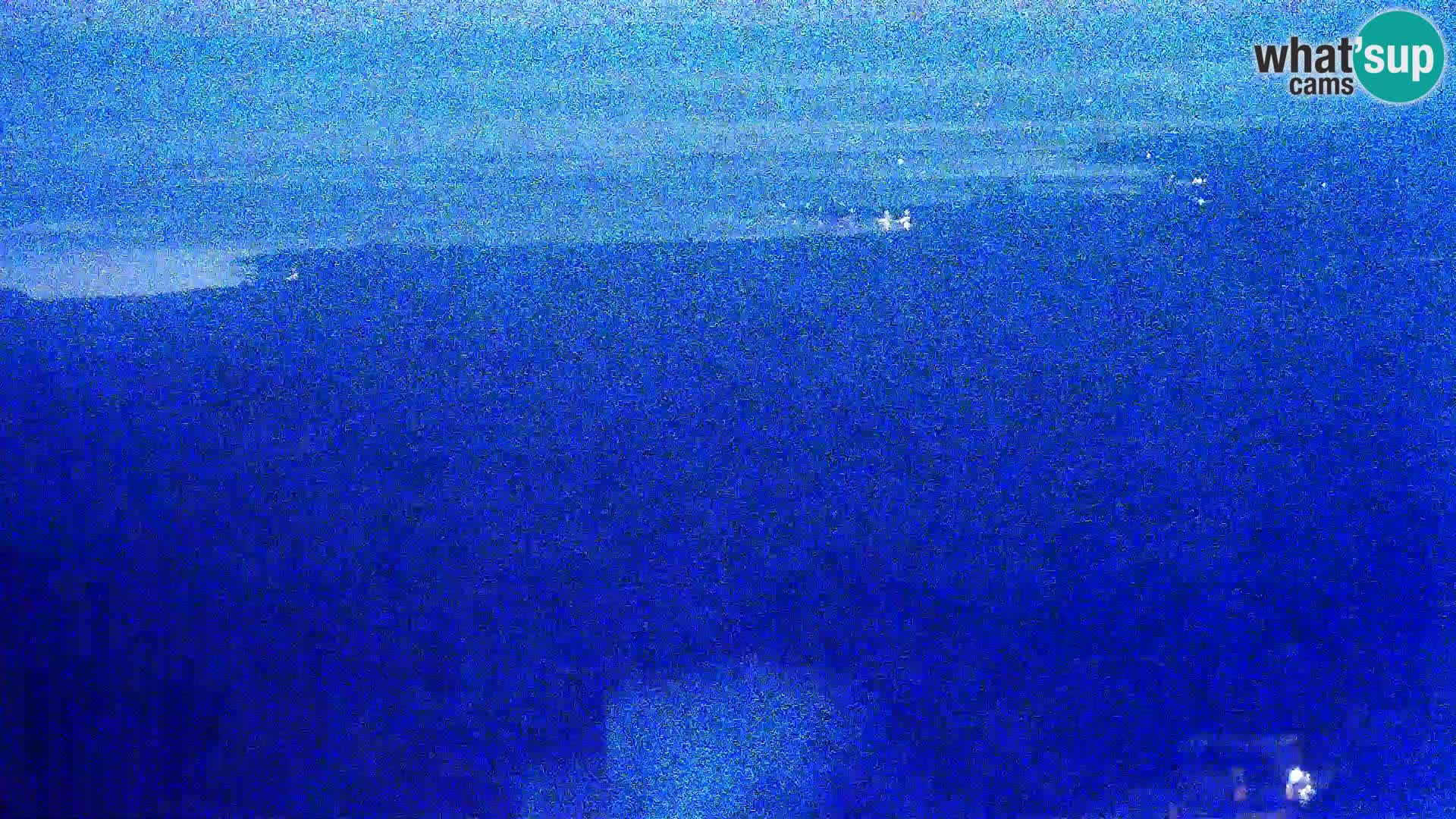Web camera - Kolan (Pag)