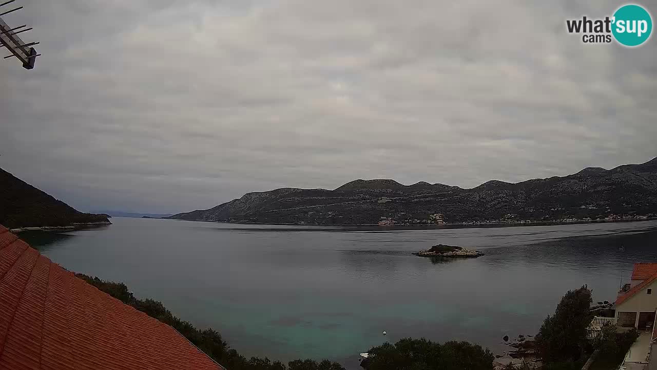 Camera en vivo Korčula – Tri Žala – Pelješac