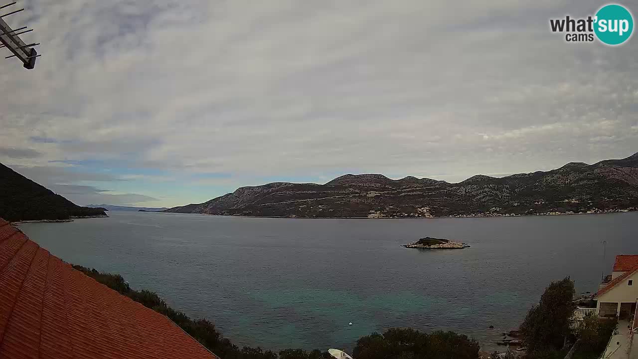 Live Korčula webcam – Tri Žala