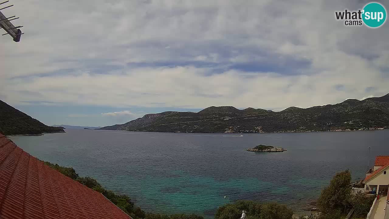 Live Korčula webcam – Tri Žala