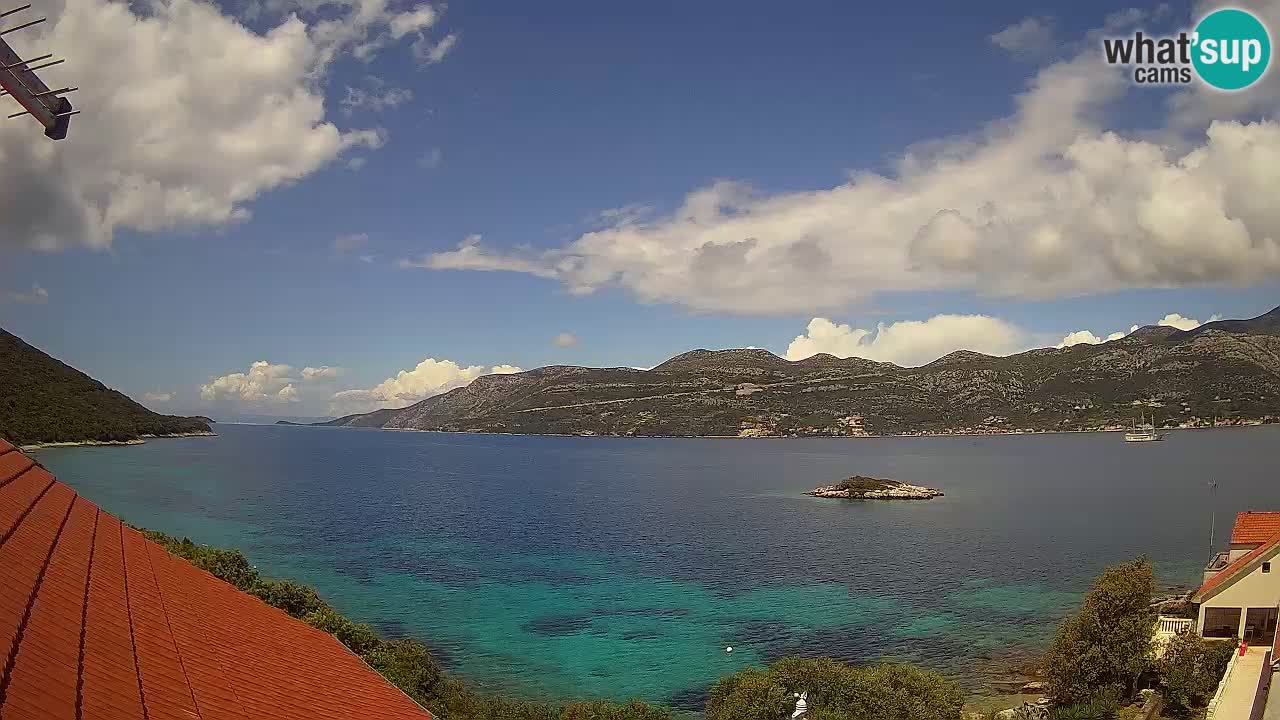 Camera en vivo Korčula – Tri Žala – Pelješac